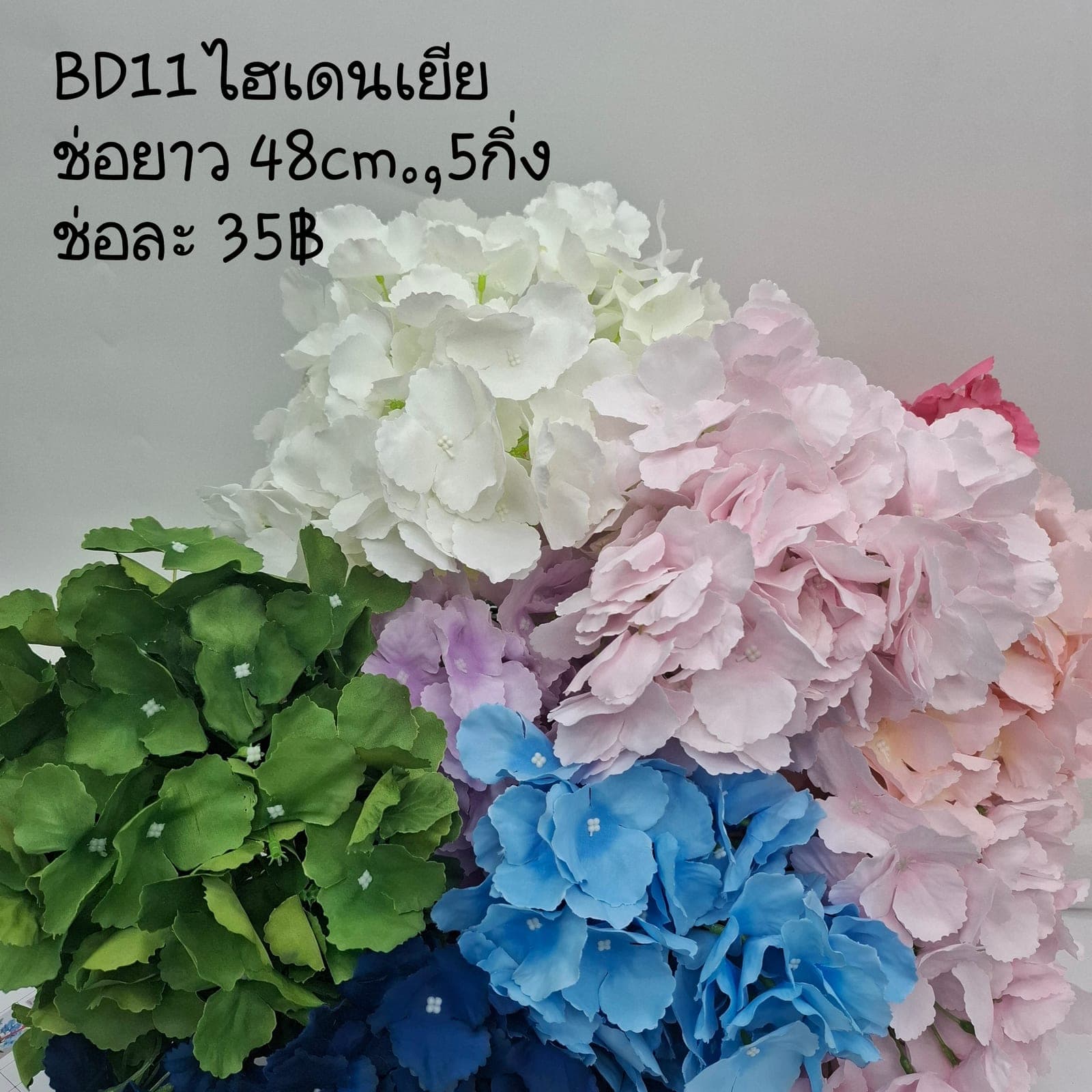 บูเก้ไฮเดนเยียกลีบใหญ่ (BD11), บูเก้ไฮเดรนเยีย — ดอกย่อยกระจุกเป็นทรงกลมเต็มมือ ให้น้ำหนักเป็นโครง