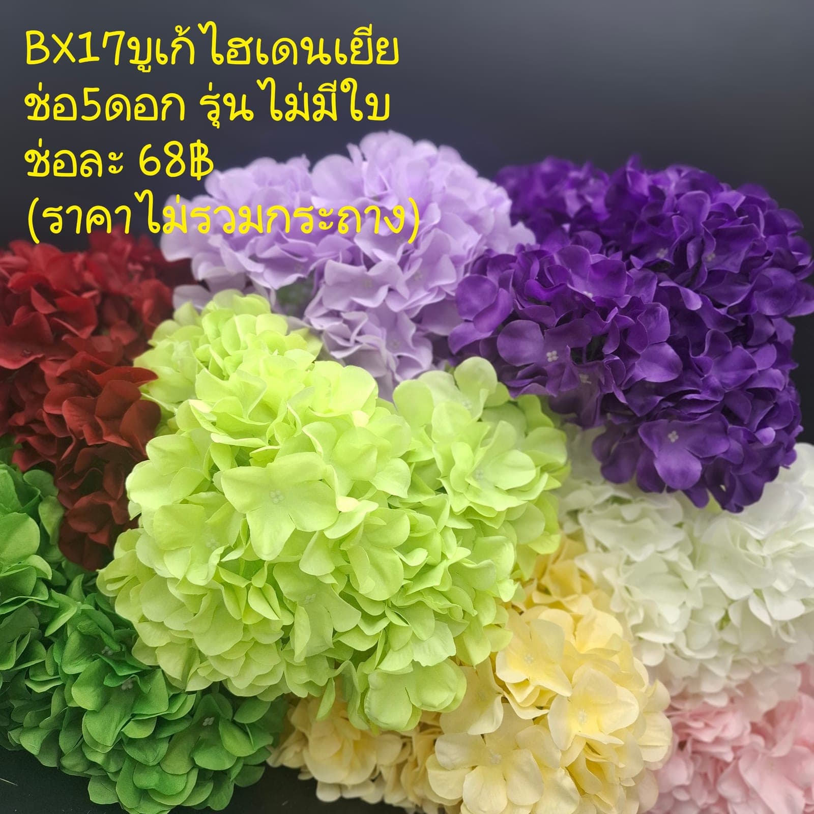 บูเก้ไฮเดนเยีย (BX17), บูเก้ไฮเดรนเยีย — ดอกย่อยกระจุกเป็นทรงกลมเต็มมือ ให้น้ำหนักเป็นโครง