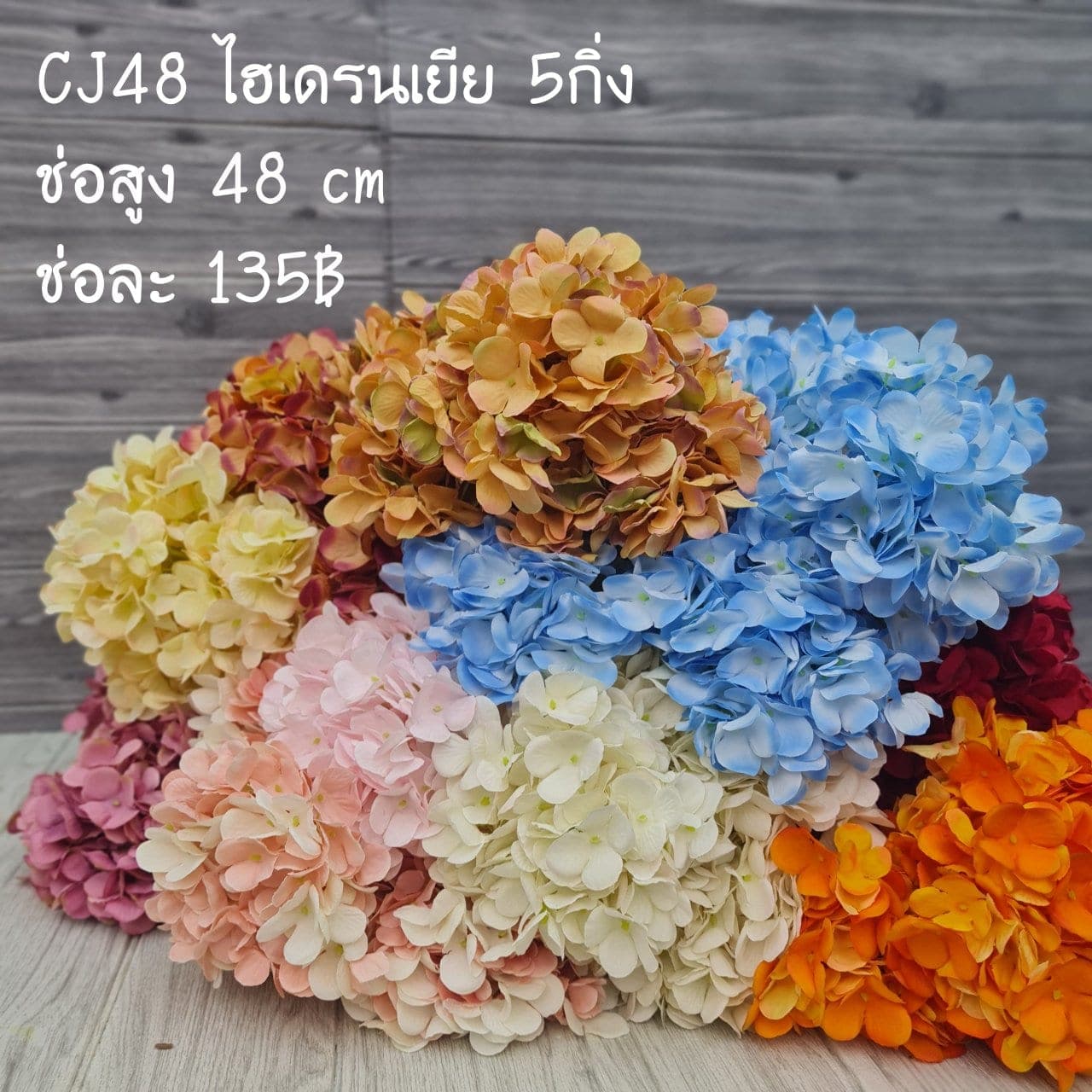 ไฮเดรนเยีย 5กิ่ง (CJ48), ไฮเดรนเยีย 5 กิ่ง — หัวดอกใหญ่และสีไล่โทน ใช้เป็นจุดเริ่มทรงในการจัด
