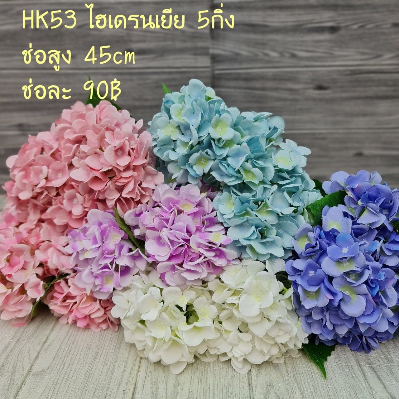 ไฮเดนเยีย (HK53,HK54), ไฮเดรนเยีย — หัวดอกใหญ่และสีไล่โทน ใช้เป็นจุดเริ่มทรงในการจัด