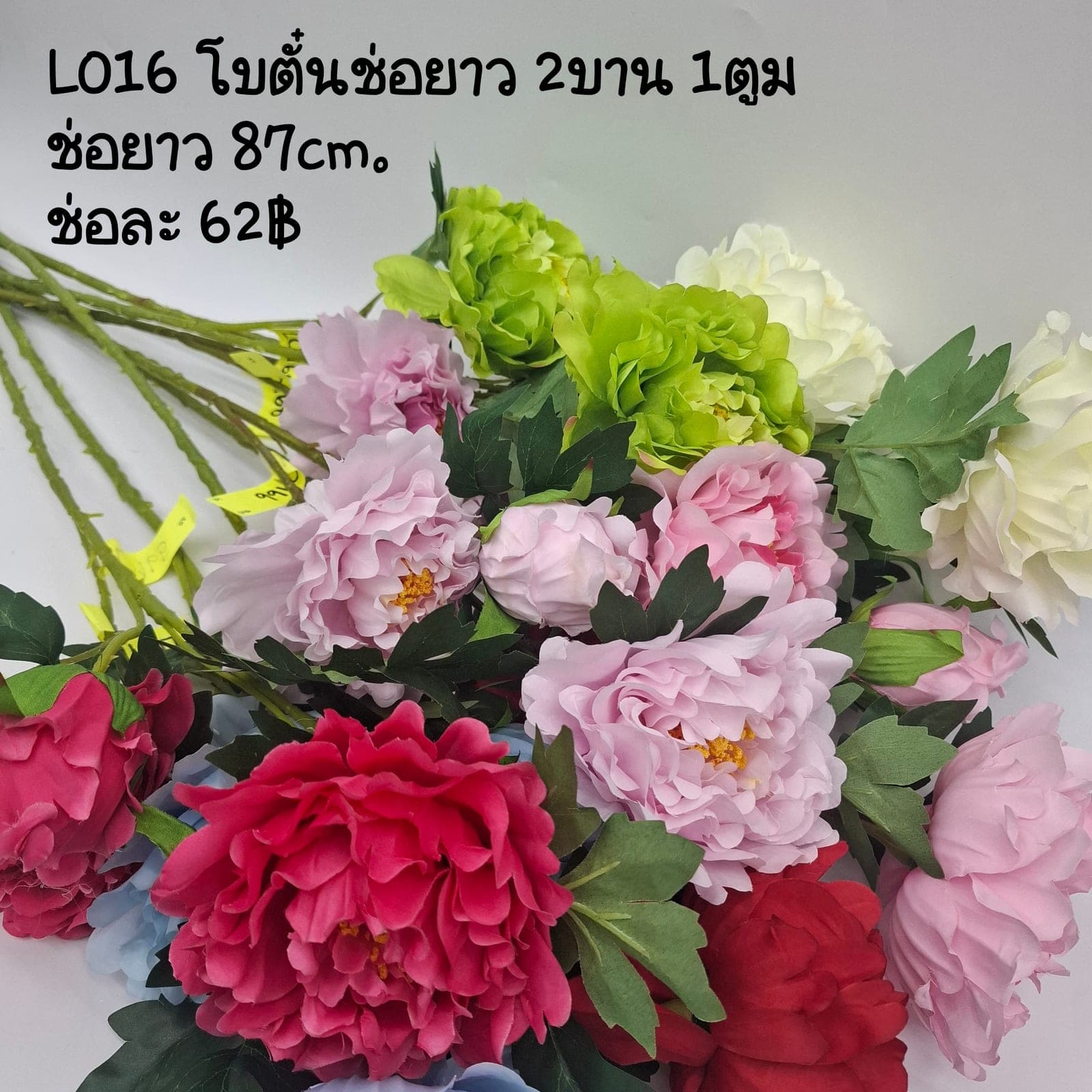 โบตั๋นช่อยาว (LO16), โบตั๋น: กลีบซ้อนหลายชั้นเหมือนระบาย ทรงโรแมนติกเต็มดอก