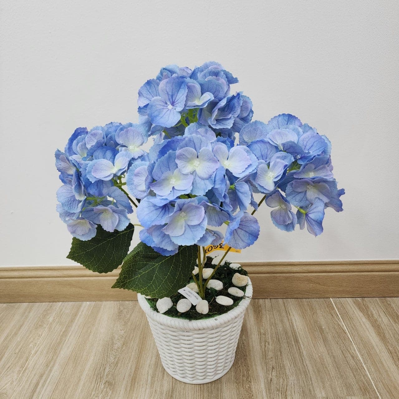 ไฮเดนเยีย (MI3), ไฮเดรนเยีย: หัวดอกใหญ่และสีไล่โทน ใช้เป็นจุดเริ่มทรงในการจัด