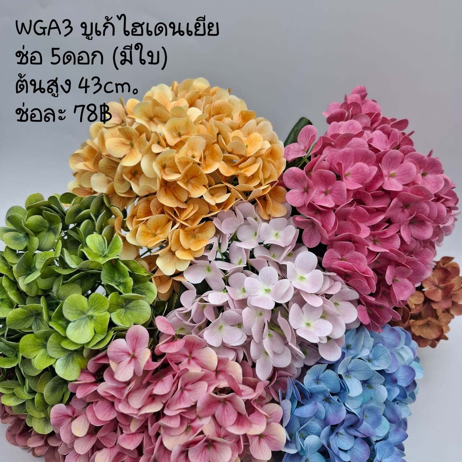 บูเก้ไฮเดนเยีย (WGA03), A bouquet of hydrangea: tiny florets clustered into a full, hand-sized globe.