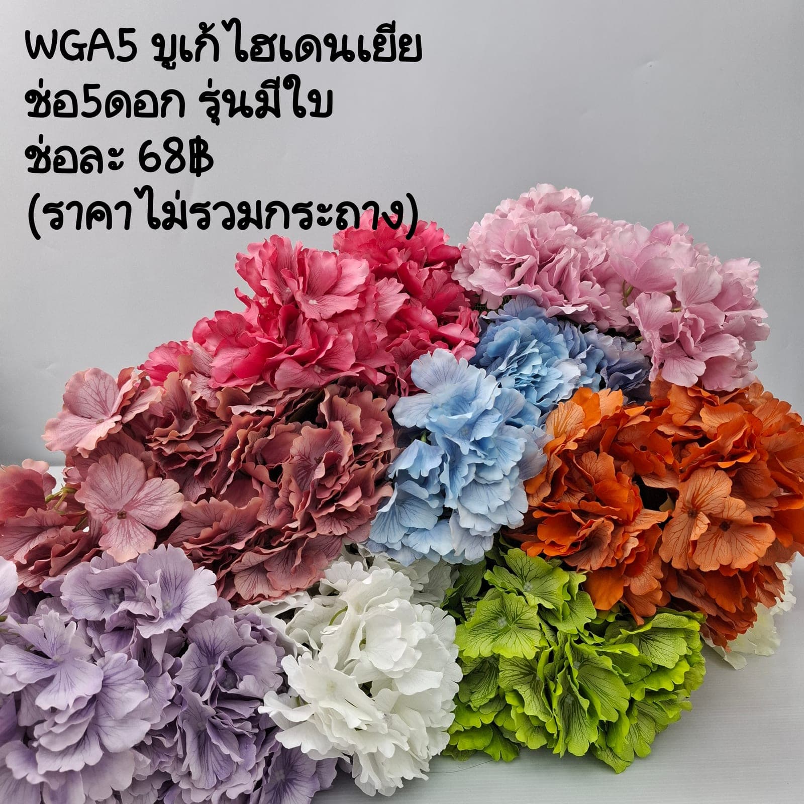 บูเก้ไฮเดนเยีย (WGA05), บูเก้ไฮเดรนเยีย: ดอกย่อยกระจุกเป็นทรงกลมเต็มมือ ให้น้ำหนักเป็นโครง