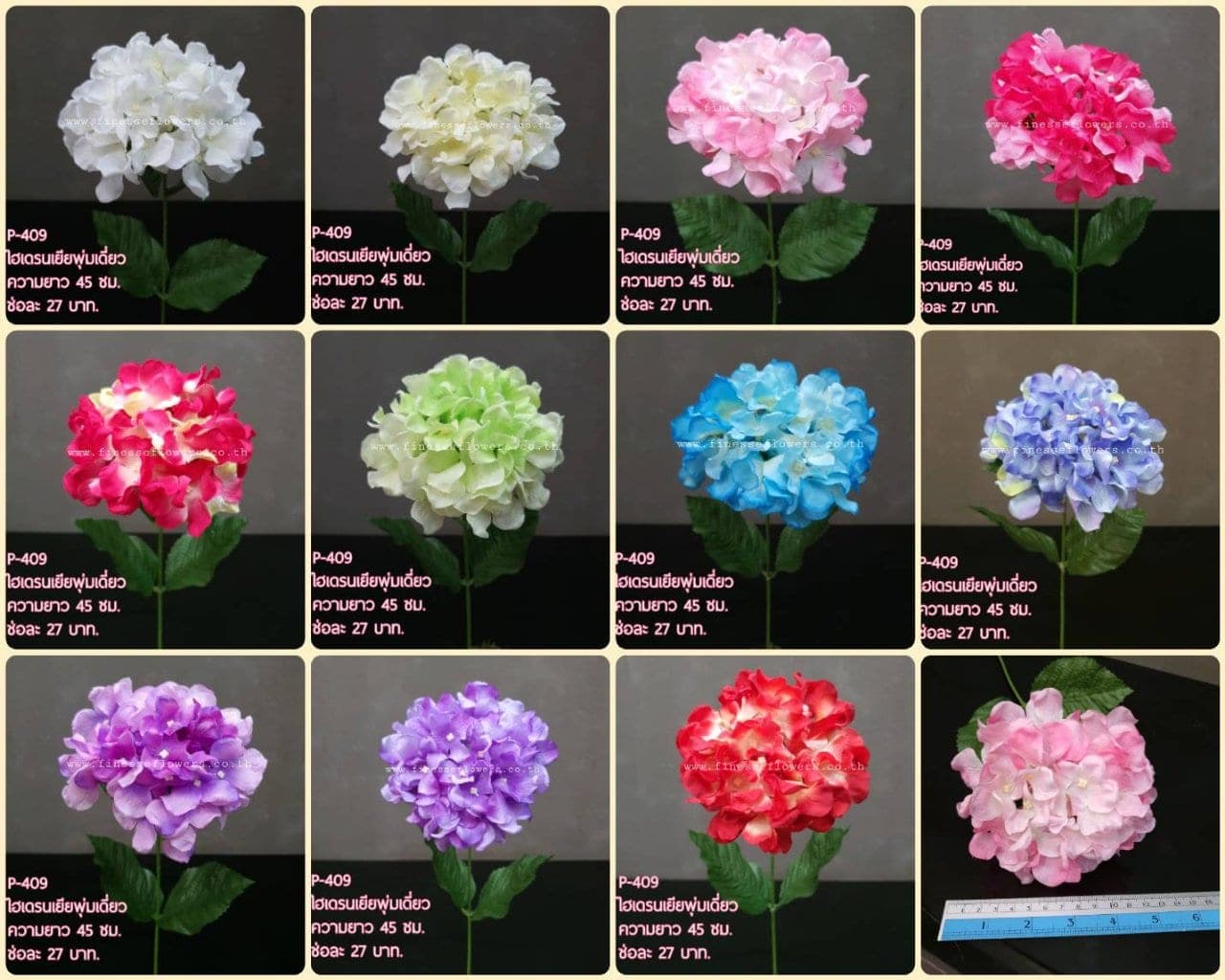 ไฮเดรนเยียพุ่มเดี่ยว (XBJY4XZ), ก้านเดี่ยวไฮเดรนเยีย: หัวดอกใหญ่และสีไล่โทน ใช้เป็นจุดเริ่มทรงในการจัด