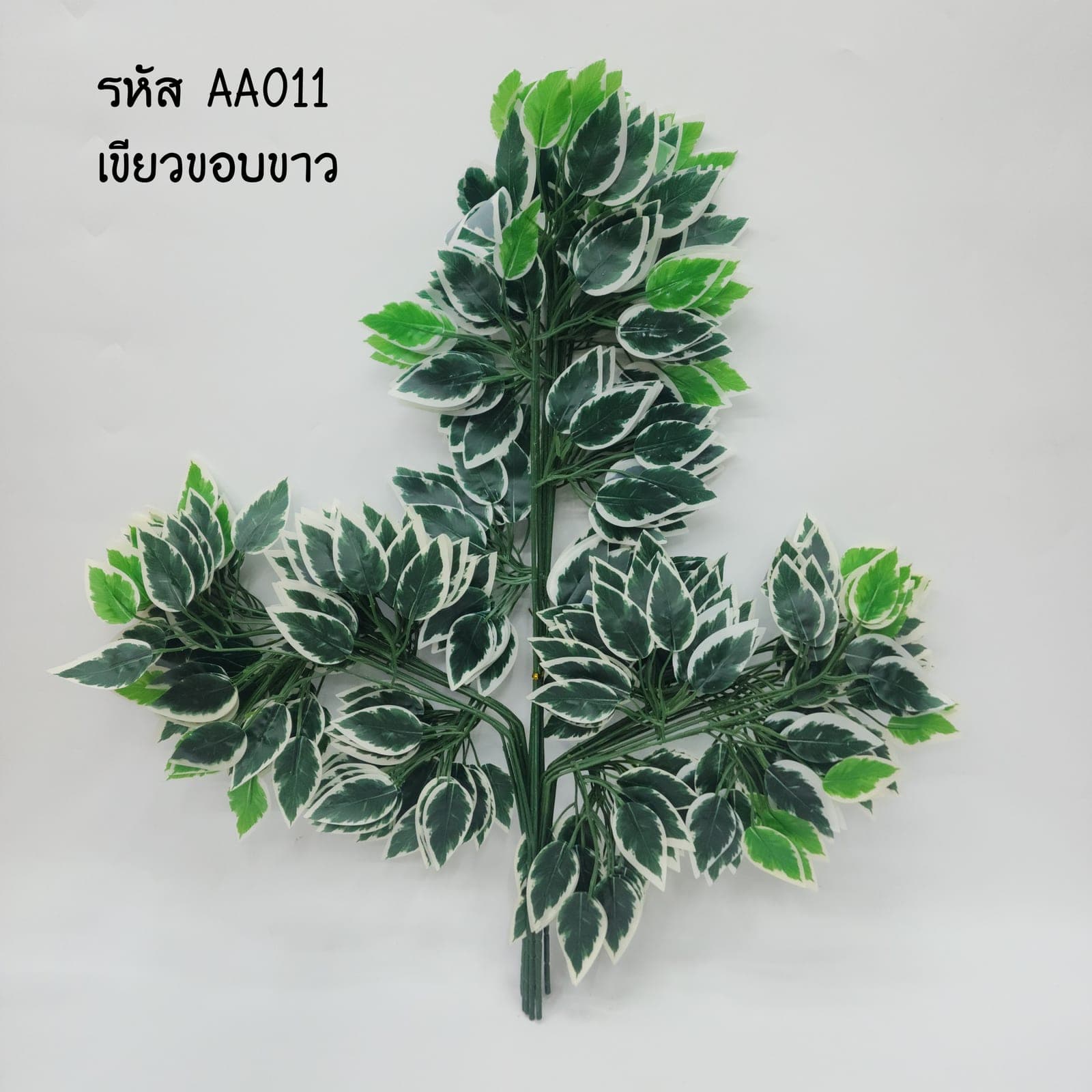 ใบไทรโหล (AA01), Banyan leaf — oval, glossy leaves with a dark, polished read.
