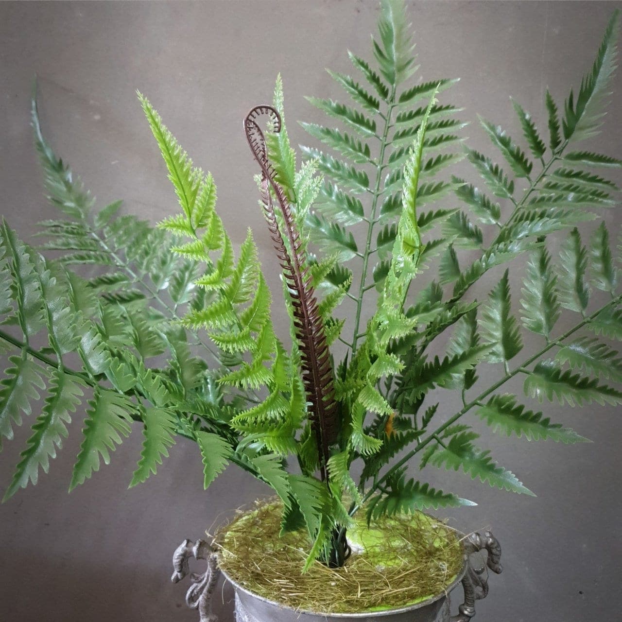 บูเก้เฟิร์น 11 ใบ (BK29), A bouquet of fern (11 leaves) — fine, frond-edged leaves that read as soft, shaded texture.