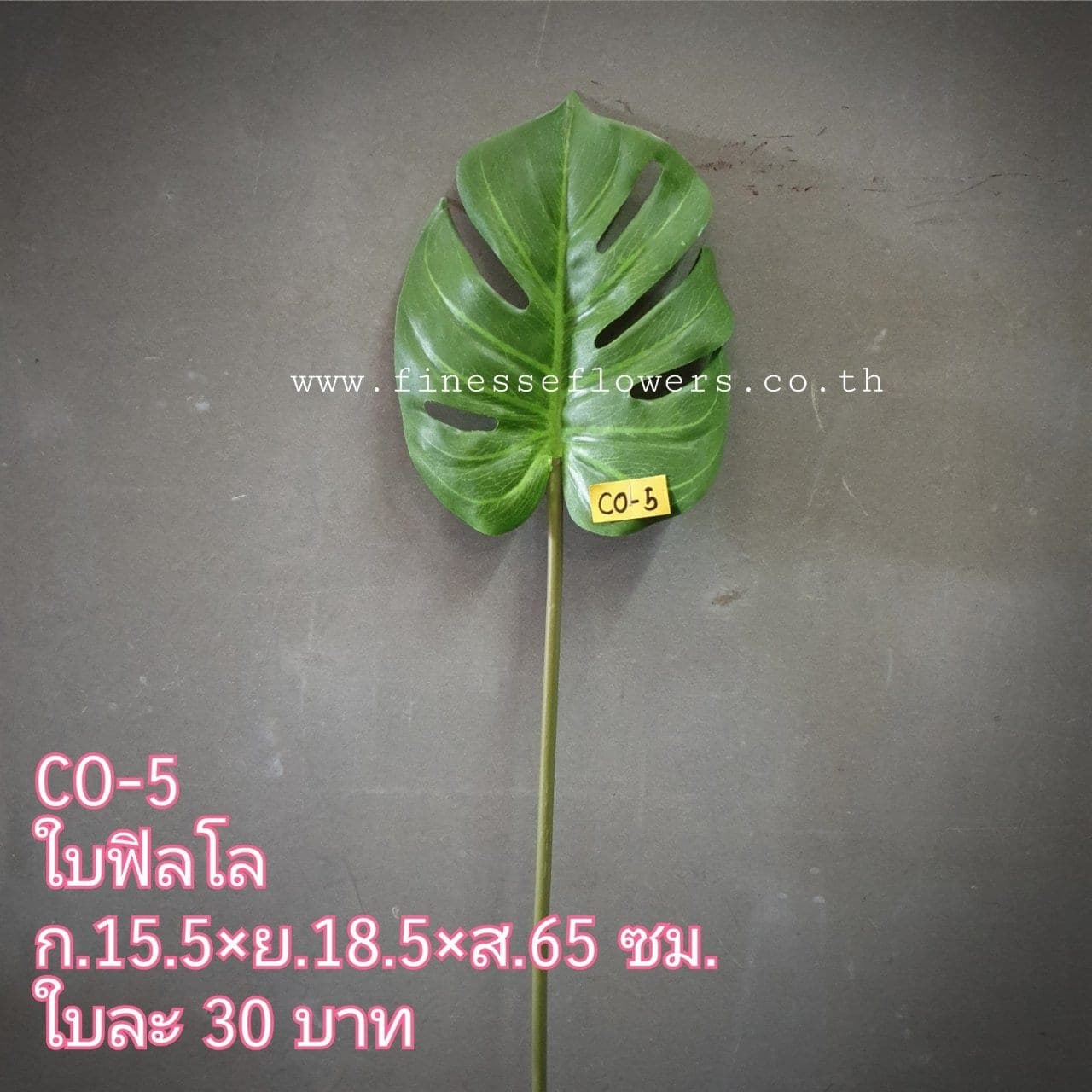 ใบเดี่ยว (CO 05), ก้านเดี่ยวใบไม้: ใบให้น้ำหนักและพื้นผิว เหมาะสำหรับห่มขอบแจกัน