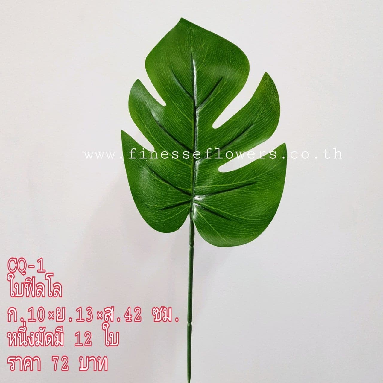 ใบเดี่ยว (CQ 01), ก้านเดี่ยวใบไม้: ใบให้น้ำหนักและพื้นผิว เหมาะสำหรับห่มขอบแจกัน