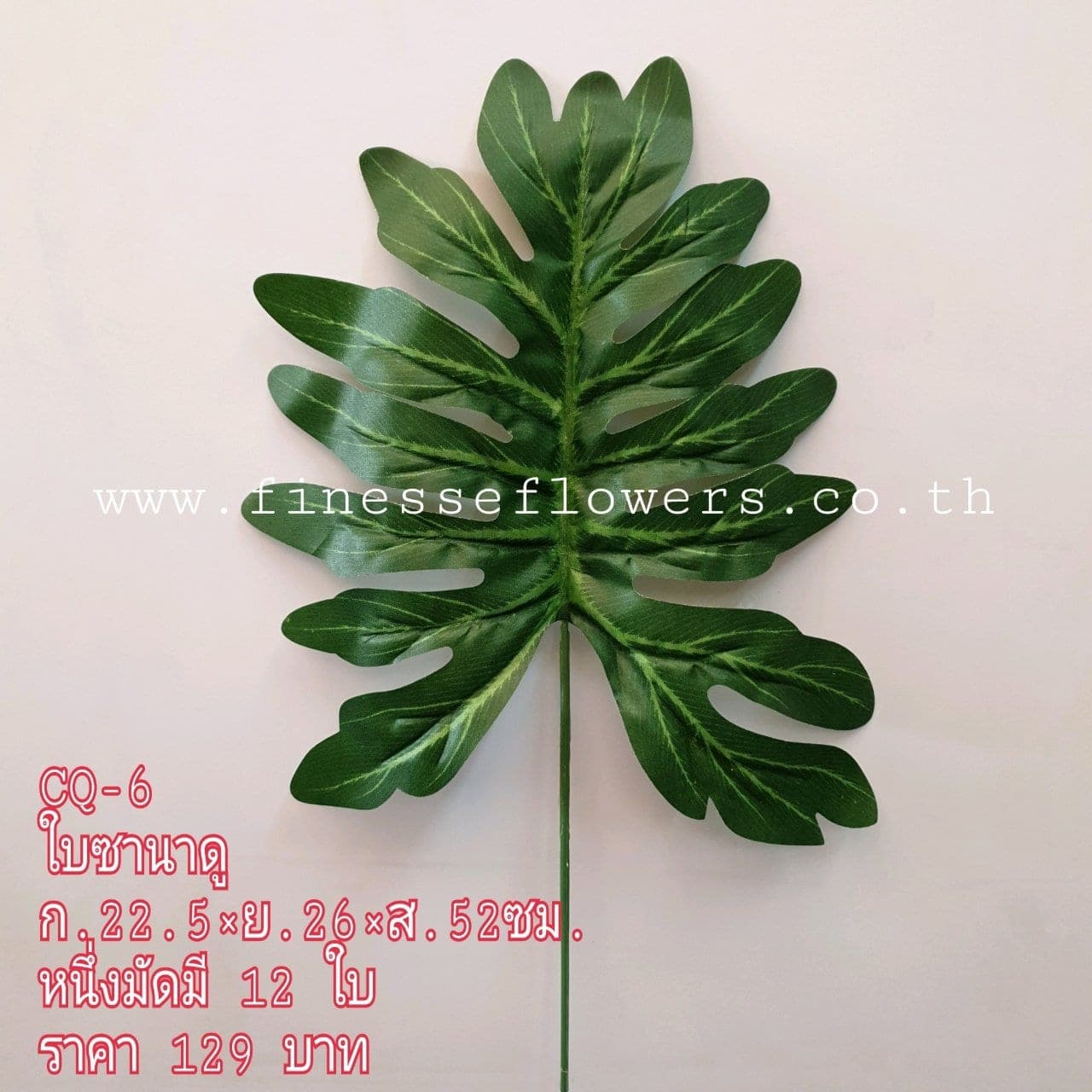ใบเดี่ยว (CQ 06), ก้านเดี่ยวใบไม้: ใบเขียวสำหรับเสริมความสมดุลและเป็นพื้นหลังให้ดอกหลัก