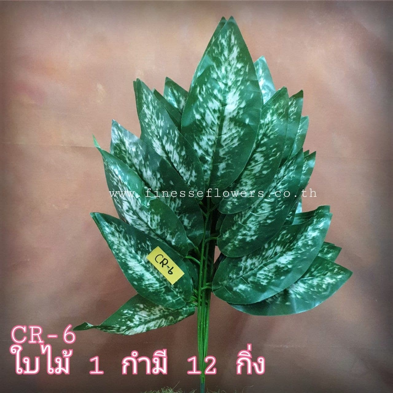 ใบ (CR 06), ใบไม้: ใบให้น้ำหนักและพื้นผิว เหมาะสำหรับห่มขอบแจกัน