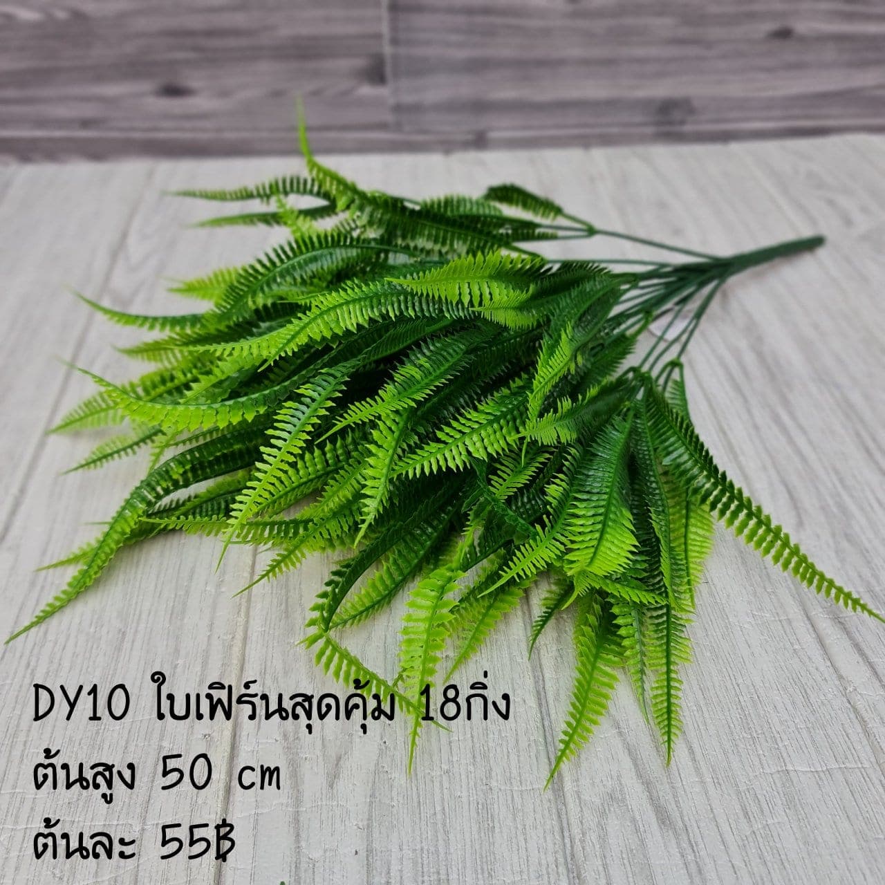 เฟิร์นสุดคุ้ม 18กิ่ง (DY10), เฟิร์น 18 กิ่ง: ใบบางและขอบหยัก ให้พื้นผิวพลิ้วและร่ม