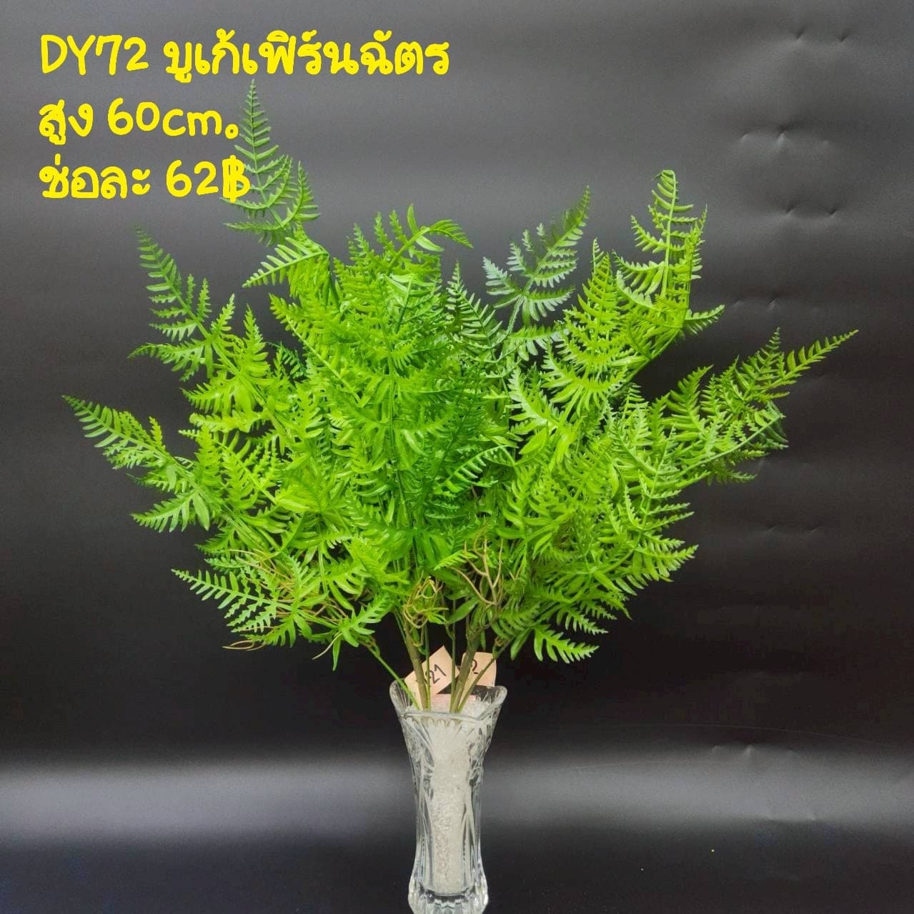 บูเก้เฟิร์นฉัตร (DY72), บูเก้เฟิร์น: ใบบางและขอบหยัก ให้พื้นผิวพลิ้วและร่ม