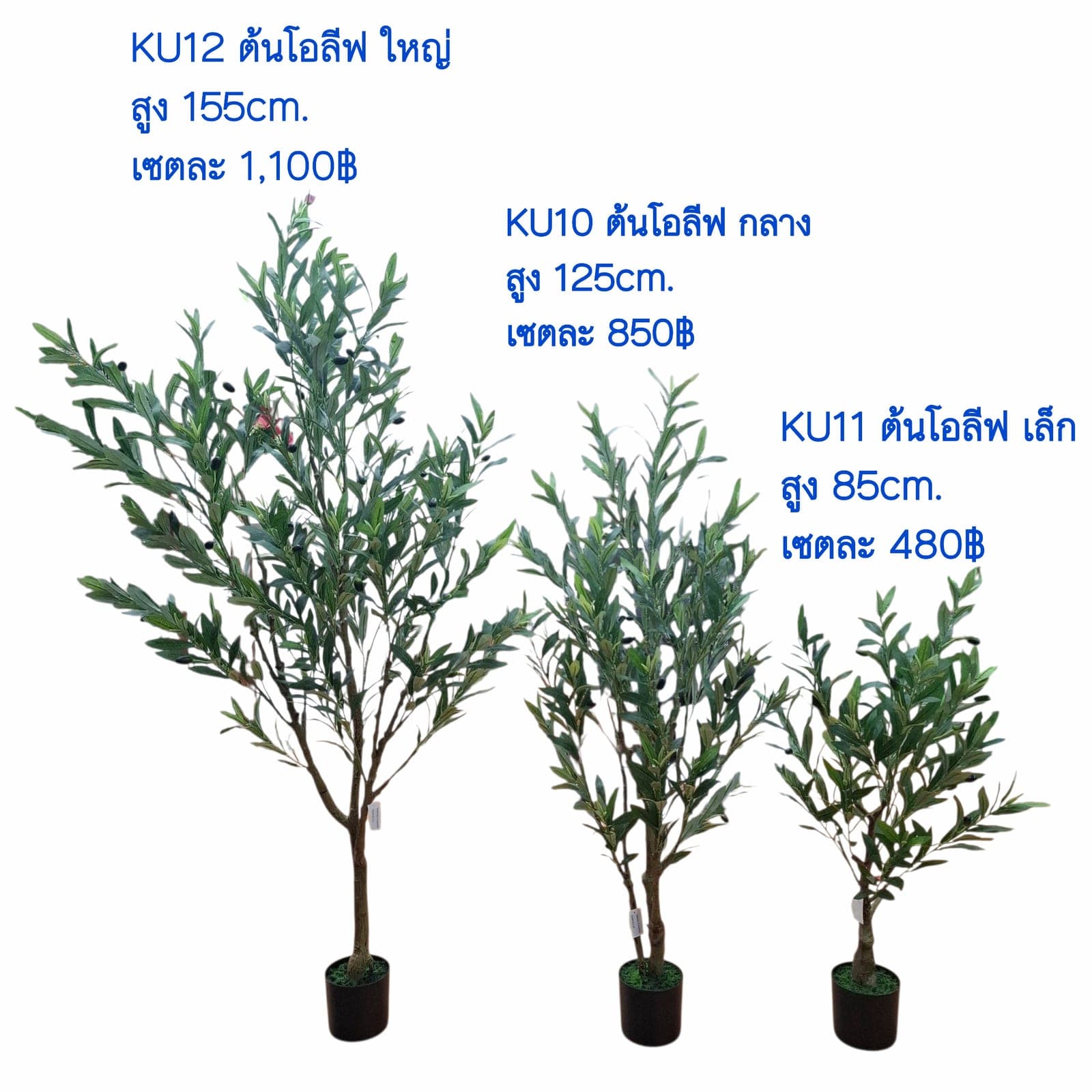รวมต้นไม้ (KU-2)