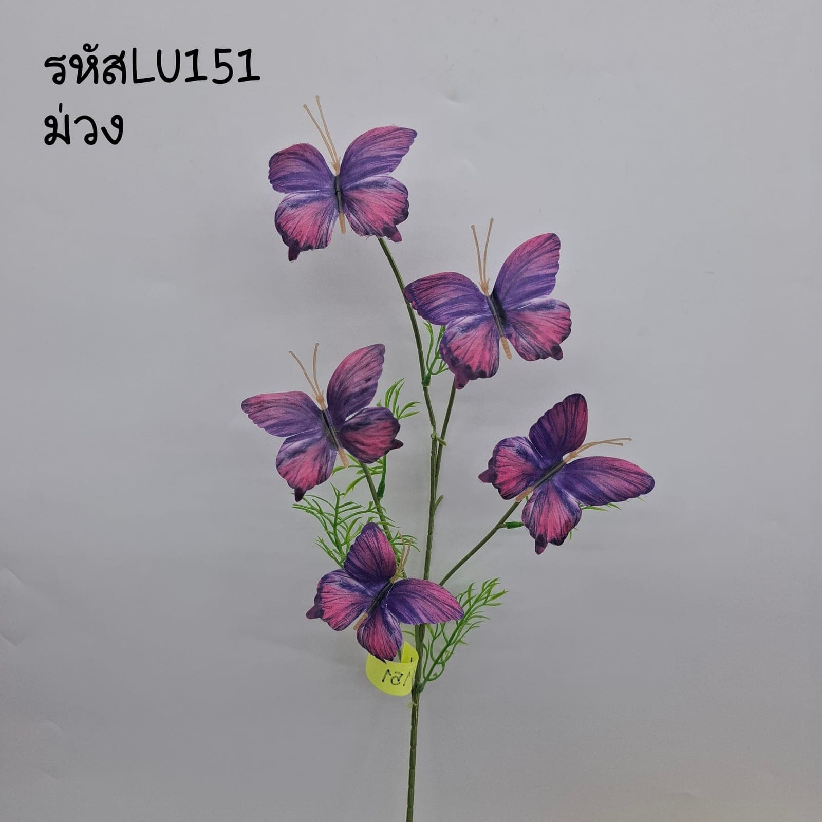 ผีเสื้อช่อยาว 6ตัว (LU15), ใบไม้และพืชเขียว: ใบและกิ่งสำหรับสร้างโครงและสมดุลให้ช่อดอก