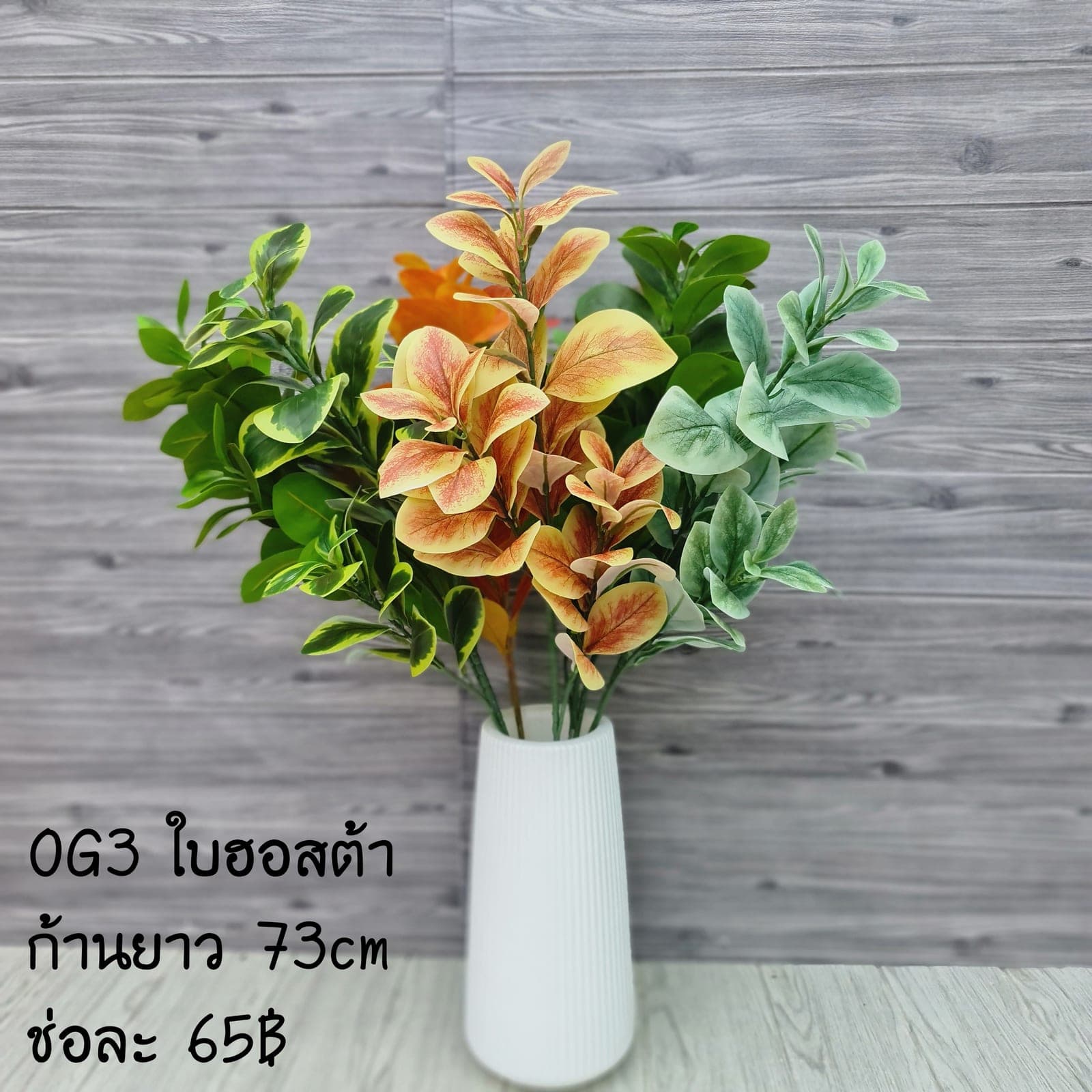 ใบฮอสต้า (OG3), ใบไม้: ใบให้น้ำหนักและพื้นผิว เหมาะสำหรับห่มขอบแจกัน