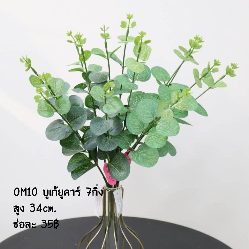 บูเก้ยูคาร์ 7กิ่ง (OM10)