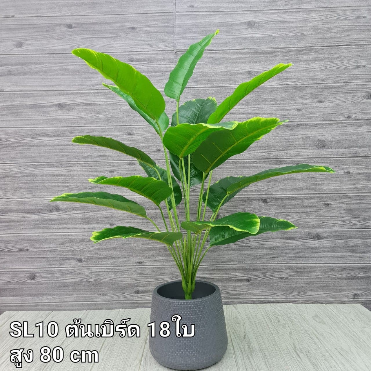 เบิร์ด 18ใบ (SL10), ใบไม้ 18 ใบ: ใบเขียวสำหรับเสริมความสมดุลและเป็นพื้นหลังให้ดอกหลัก