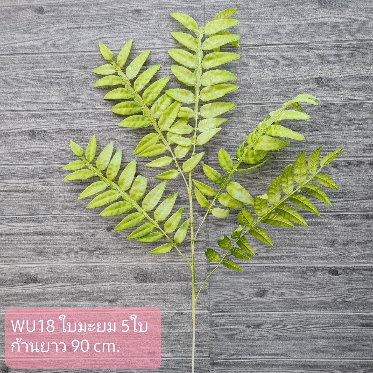 ใบมะยม (WU18), ใบไม้: ใบให้น้ำหนักและพื้นผิว เหมาะสำหรับห่มขอบแจกัน