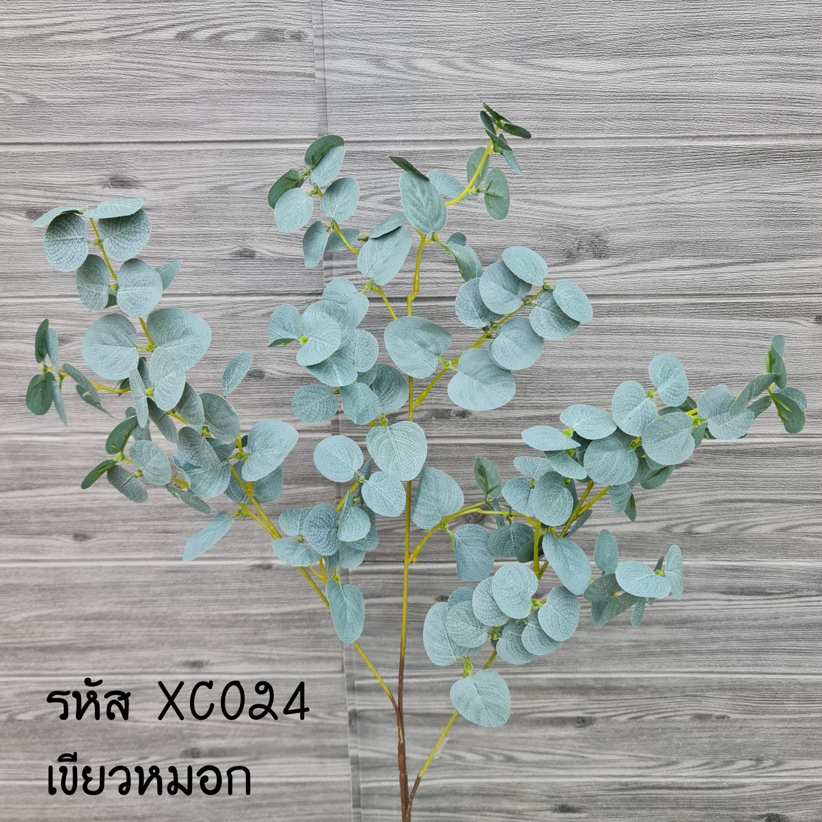 ยูคาร์แอ๊ปเปิ้ล (XC2-2)