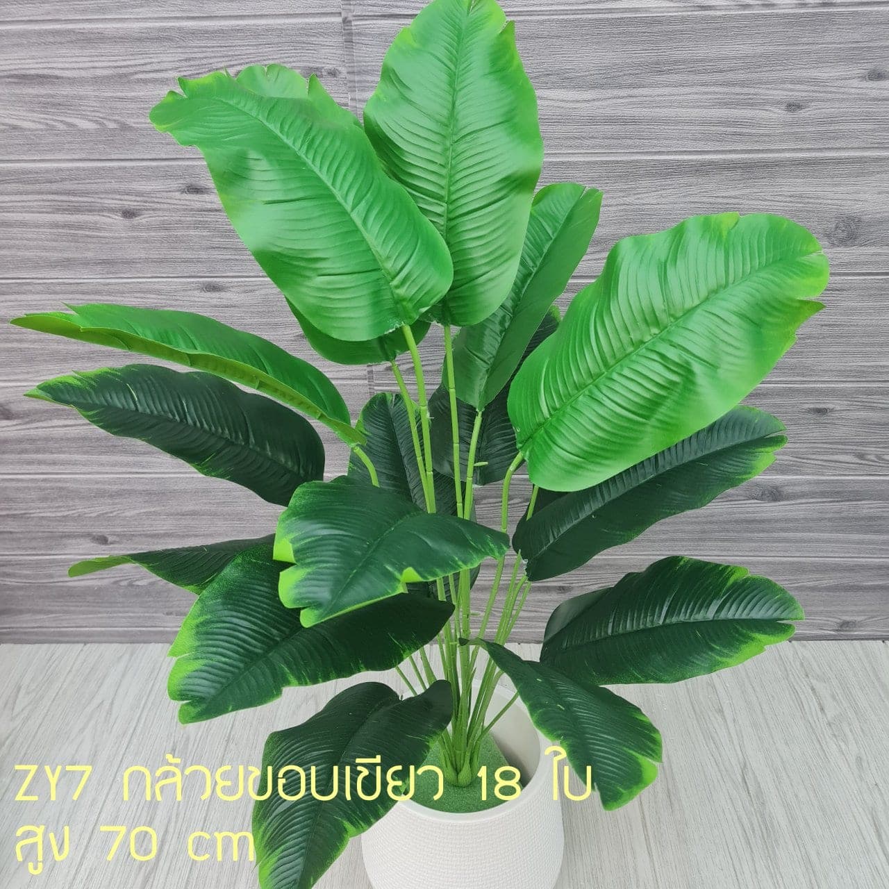 กล้วยขอบเขียว 18ใบ (ZY07), ใบไม้ 18 ใบ: ใบเขียวสำหรับเสริมความสมดุลและเป็นพื้นหลังให้ดอกหลัก