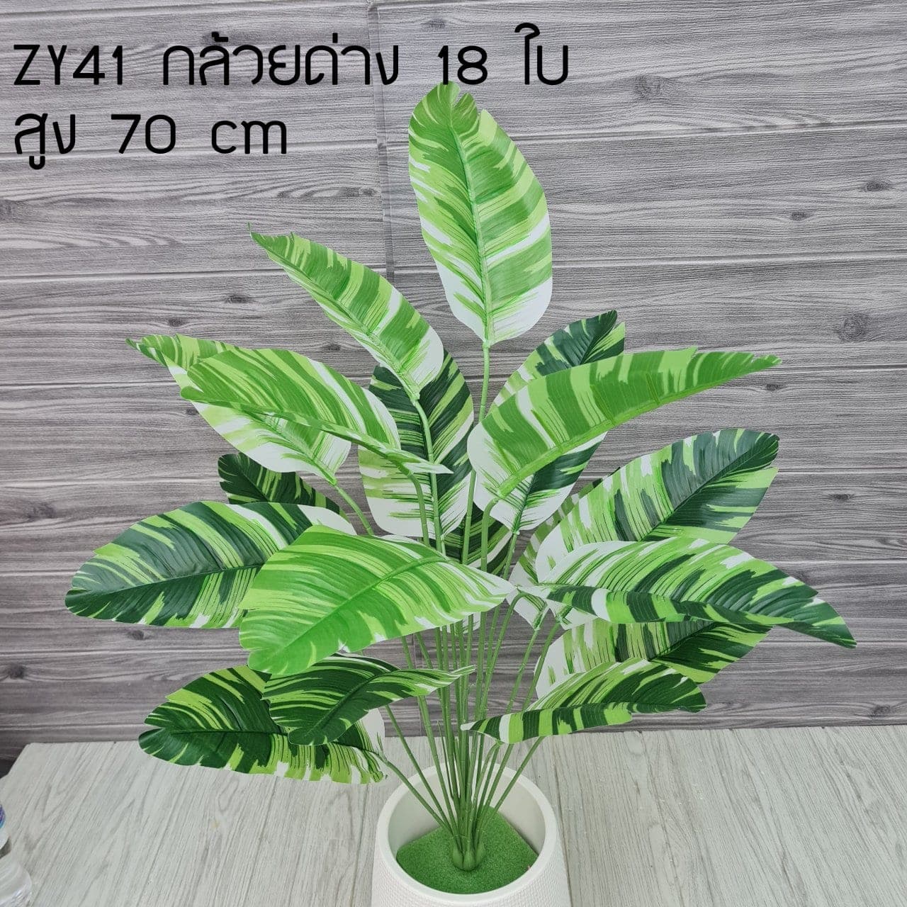 กล้วยด่าง18ใบ (ZY41), ใบไม้ 18 ใบ: ใบเขียวสำหรับเสริมความสมดุลและเป็นพื้นหลังให้ดอกหลัก