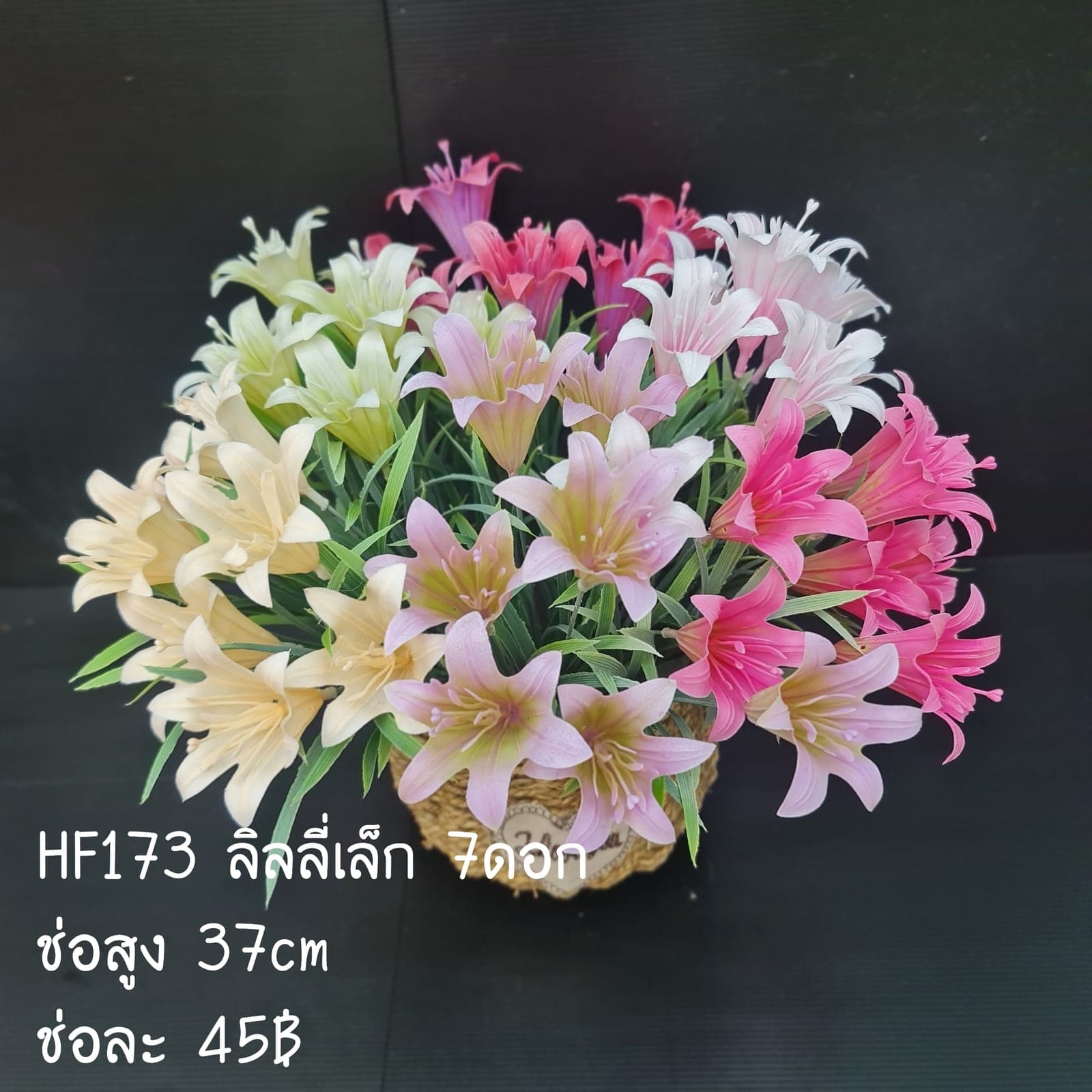 ลิลลี่เล็ก 7ดอก (HF173), ลิลลี่ 7 ดอก — กลีบโค้งและเกสรยาวให้เส้นสายเฉียบคม