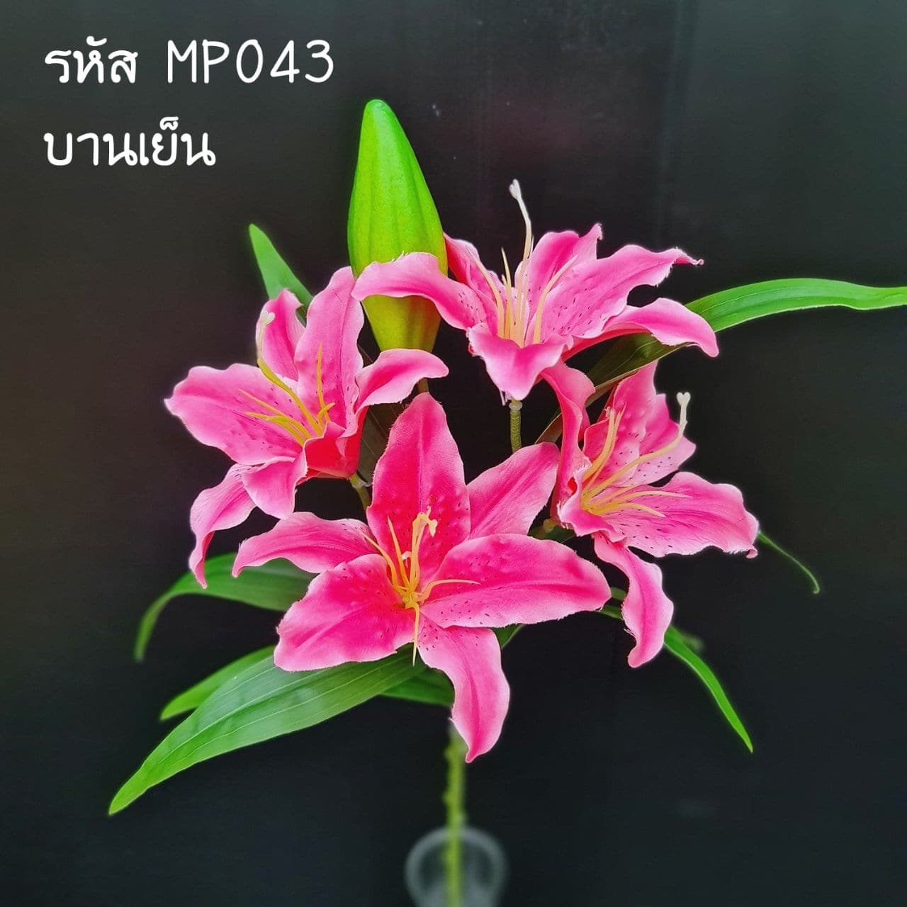 ลิลลี่ (MP4), ลิลลี่ — ฟอร์มทรงแตรเปิดออก จัดให้เป็นจุดเด่นในแจกันสูง