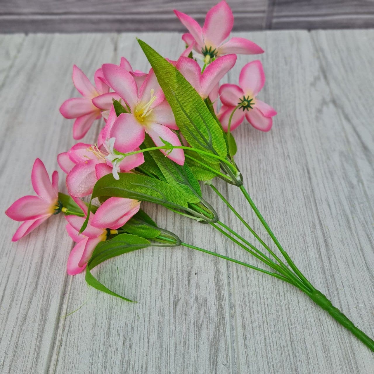 ไวลด์ลิลลี่ (ZD76), Lily: arched petals and elongated stamens carve a sharp silhouette.
