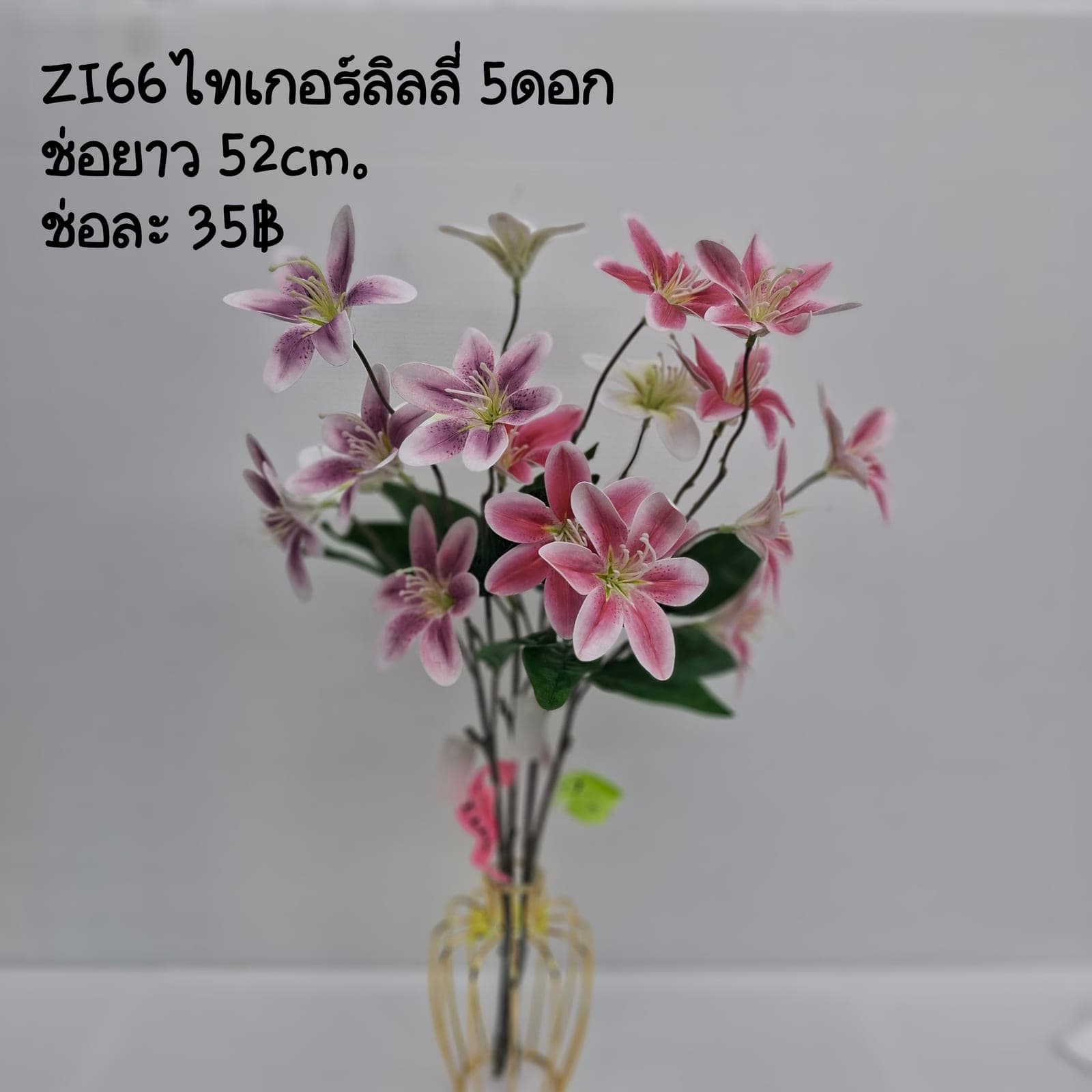 ไทเกอร์ลิลลี่ (ZI66), ลิลลี่: ดอกตูมและบานสลับกันบนก้านเดียว สื่ออารมณ์เคลื่อนไหว