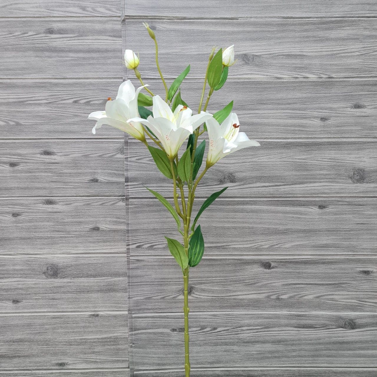 ลิลลี่3บาน3ตูม (ZL6), Lily: buds and open blooms staggered along a single stem for movement.