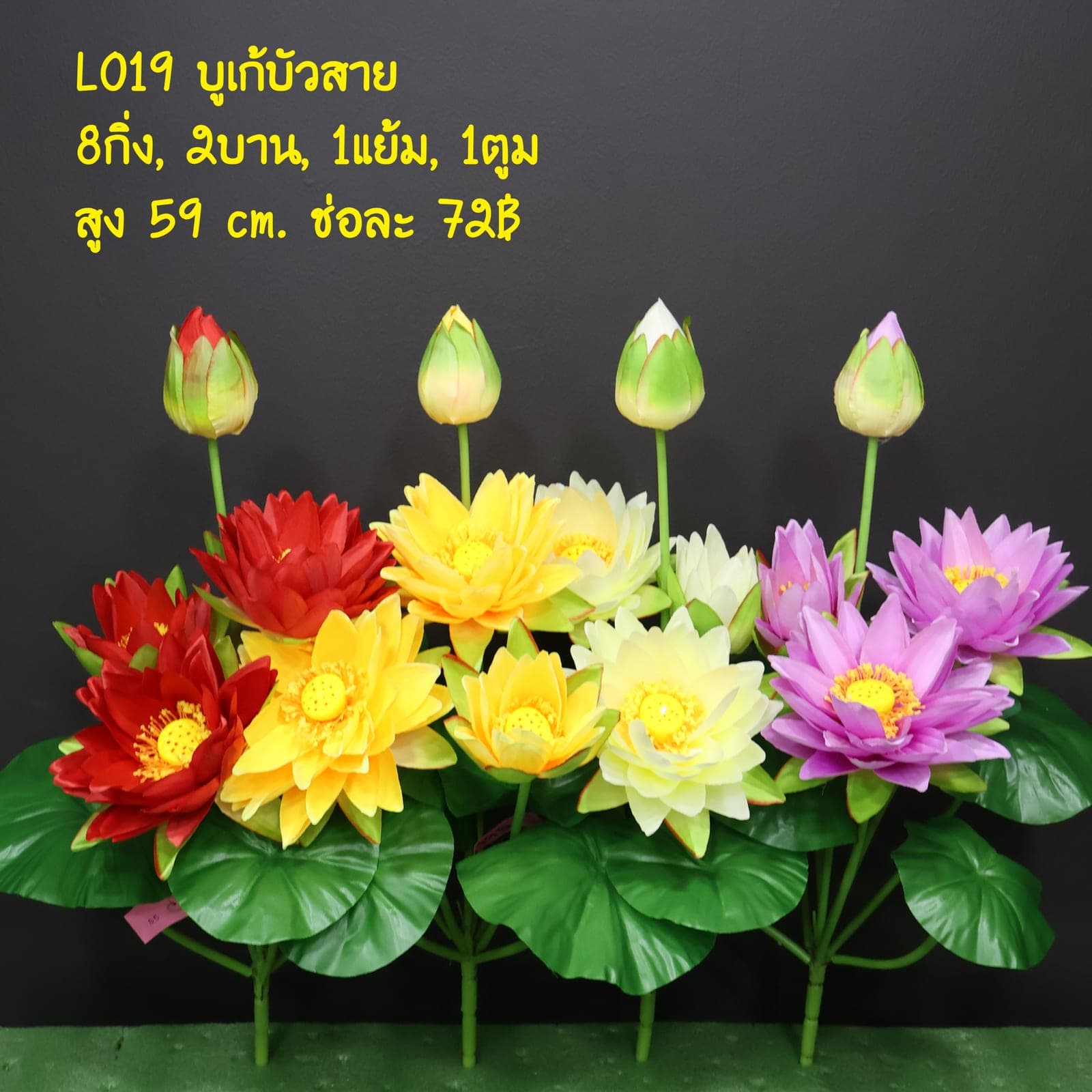 บูเก้บัวสาย (LO19)