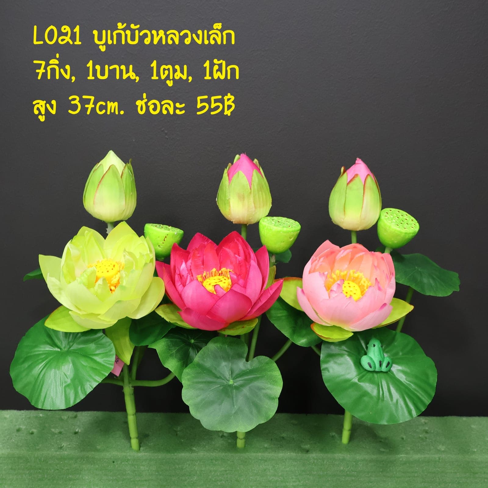 บูเก้บัวหลวงเล็ก (LO21)