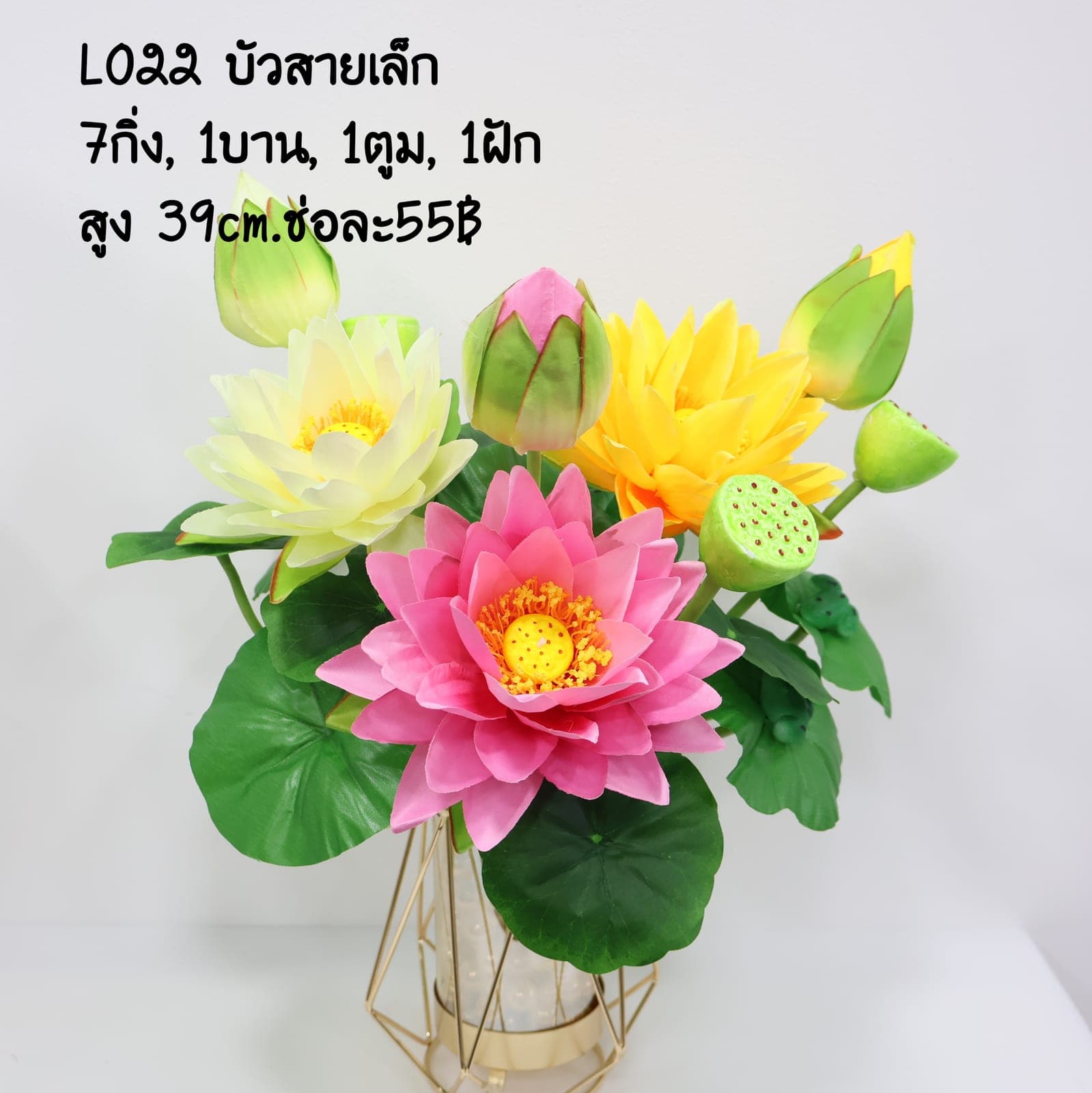 บูเก้บัวสายเล็ก (LO22)