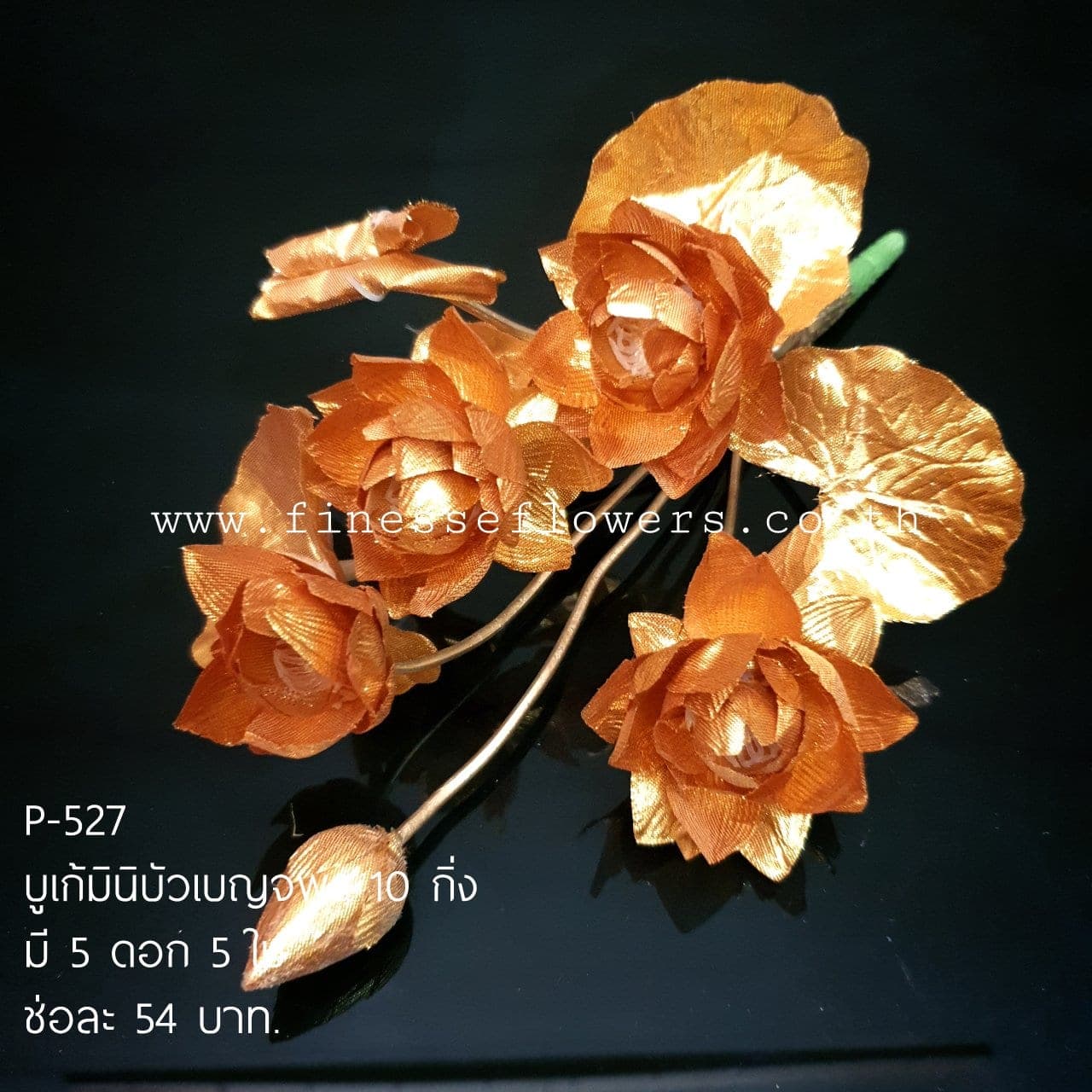 มินิบัวเบญจพร (P-527), บัว — ฟอร์มเปิดและกลีบนุ่ม ให้จังหวะนิ่งและสมดุล