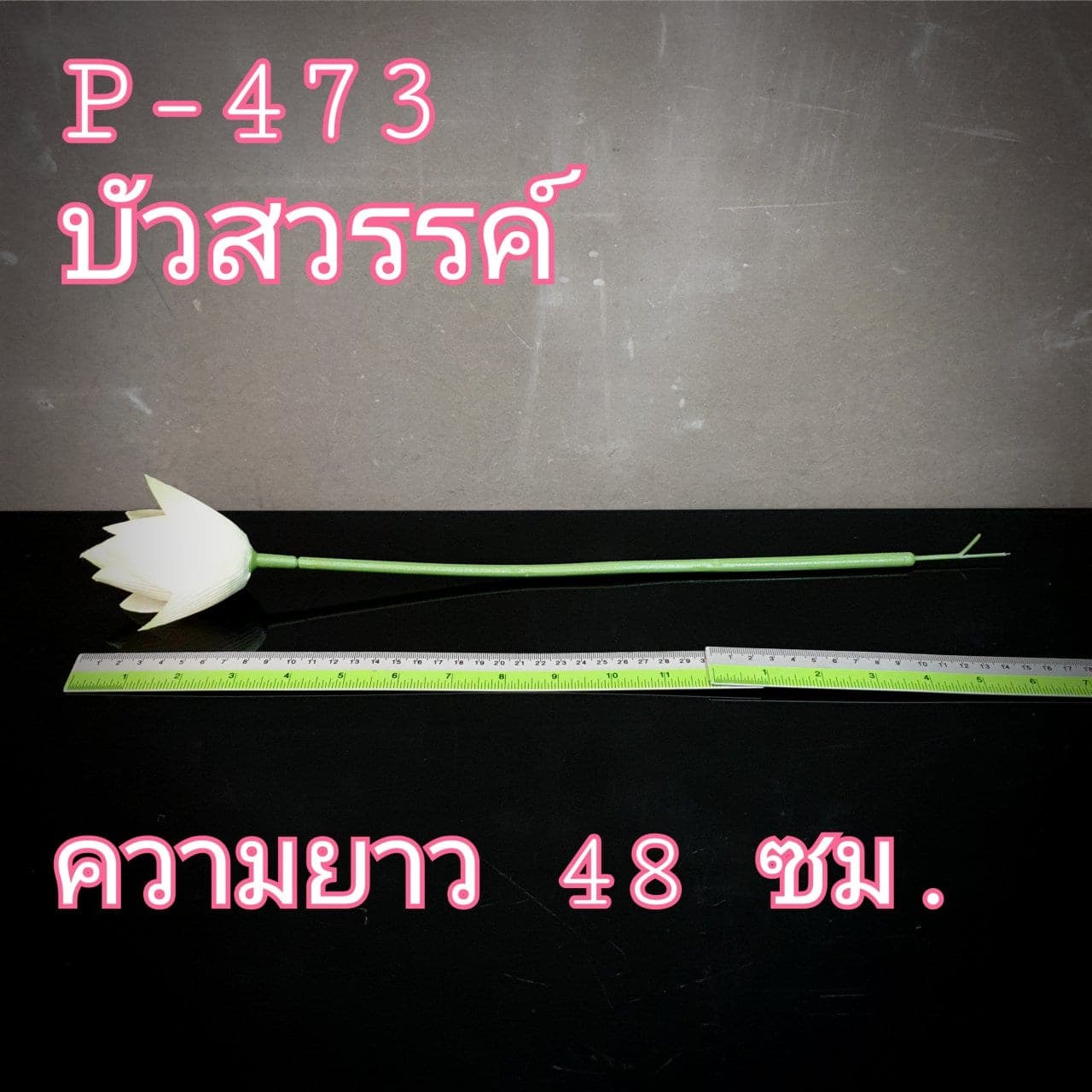 บัวสวรรค์ (P473-2)
