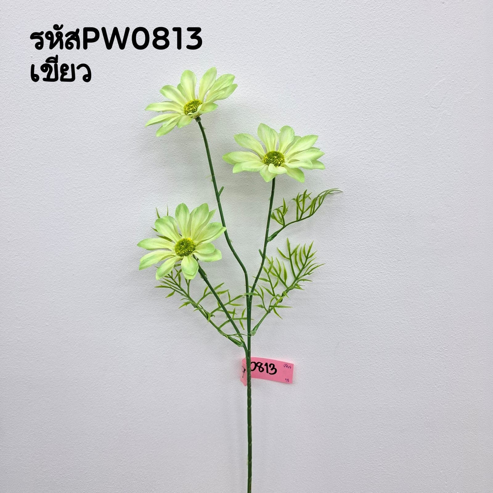 บัวตองช่อยาว (PW08), บัว: ฟอร์มเปิดและกลีบนุ่ม ให้จังหวะนิ่งและสมดุล