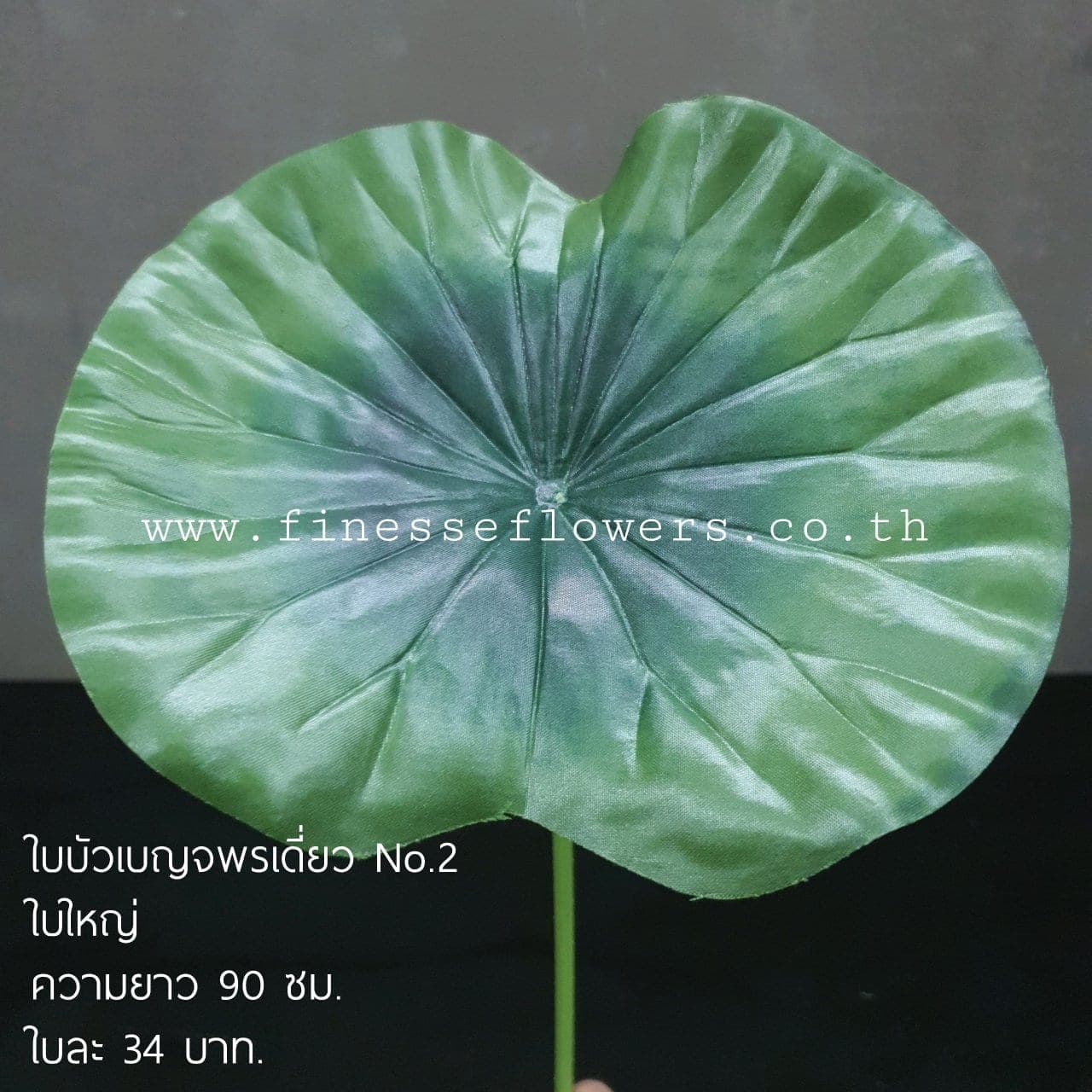 บัวเบญจพรเดี่ยว No.2 (XBBDQAQ), ก้านเดี่ยวบัว: ฟอร์มเปิดและกลีบนุ่ม ให้จังหวะนิ่งและสมดุล