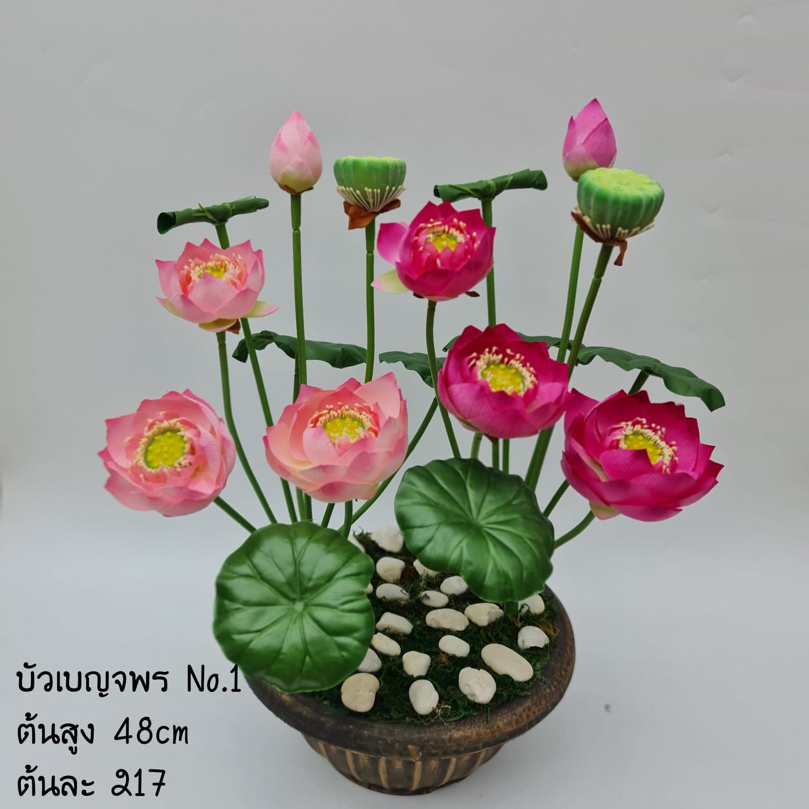 บัวเบญจพร No.1 (XXIJ3TP), บัว: ฟอร์มเปิดและกลีบนุ่ม ให้จังหวะนิ่งและสมดุล
