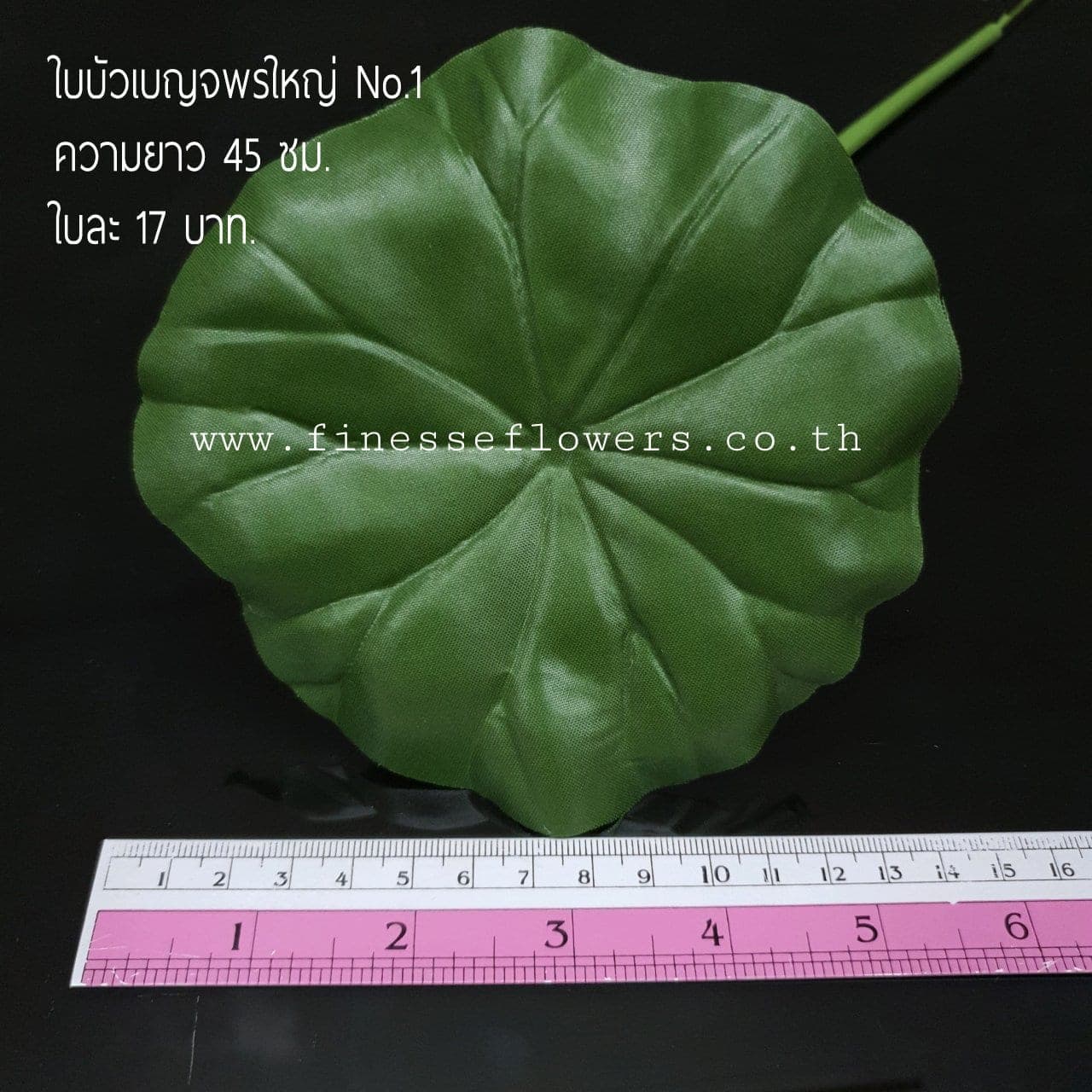 บัวเบญจพรเดี่ยว No1 (XY3GTM7), ก้านเดี่ยวบัว: ฟอร์มเปิดและกลีบนุ่ม ให้จังหวะนิ่งและสมดุล