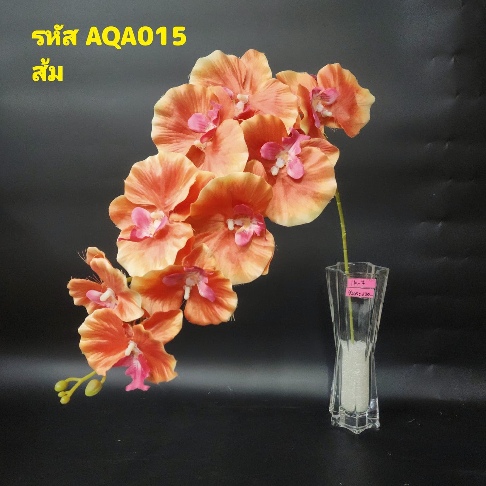 ฟาแลนด์ผีเสื้อ 9ดอก (AQA1), ฟาแลนนอปซิส 9 ดอก — ก้านยาวพลิ้ว ดอกบานจังหวะคงที่ตลอดทั้งเส้น