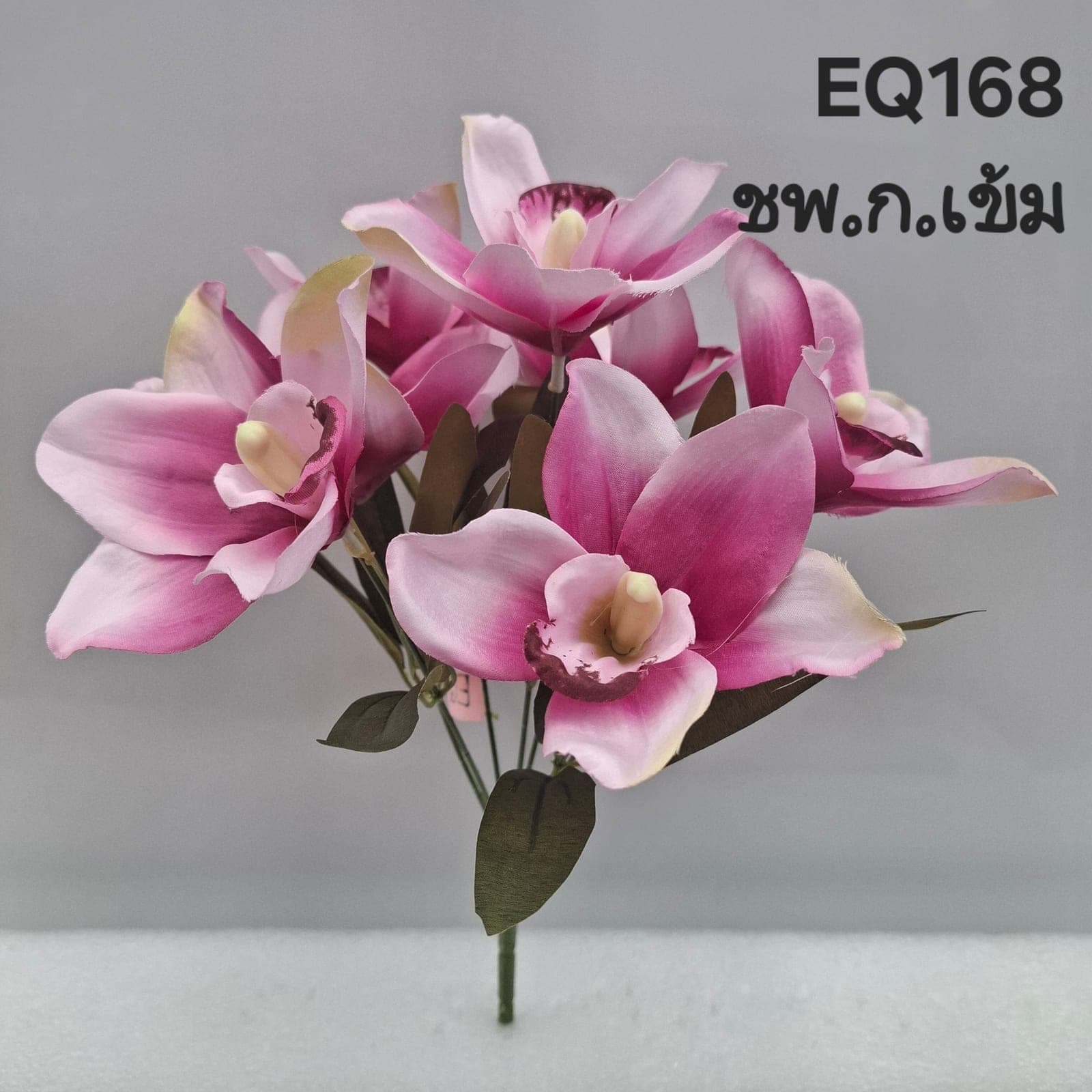 ซิมบิเดียม (EQ16), Orchid — an arched spray with wax-thin petals for floating, architectural lines.