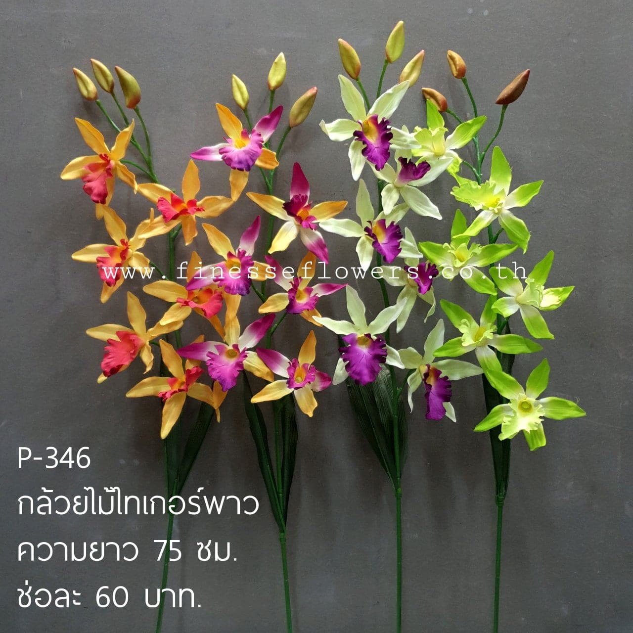 กล้วยไม้ไทเกอร์พาว (P346), กล้วยไม้: เส้นโค้งของช่อและกลีบบาง ให้องค์ประกอบลอยและสะอาด