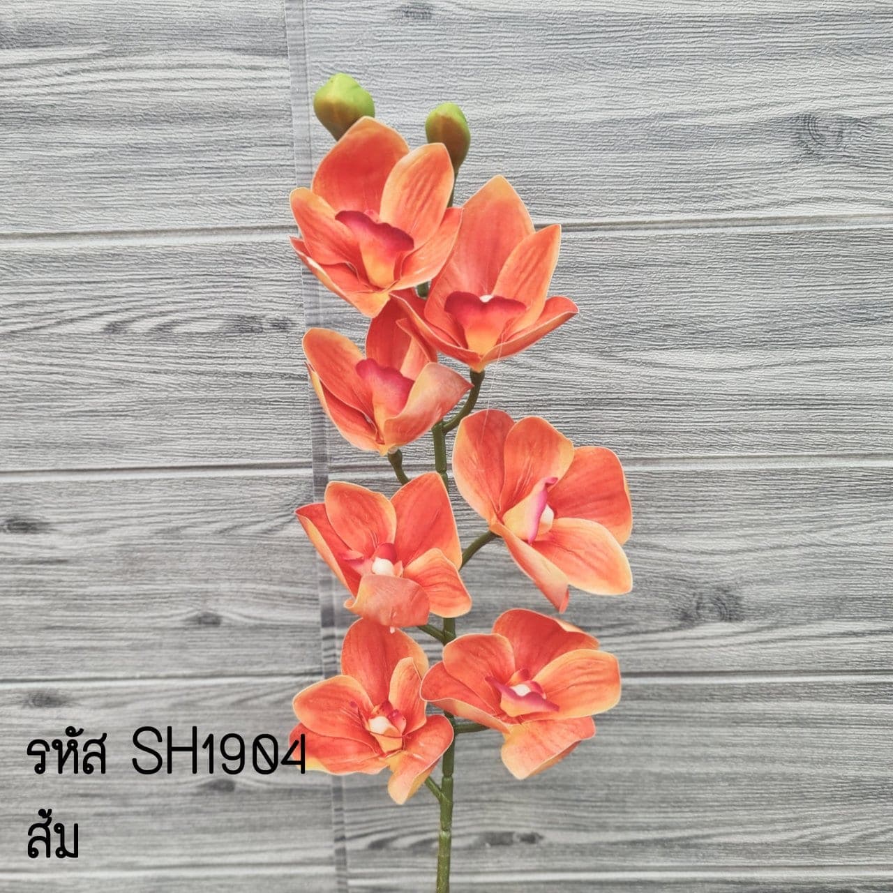 ซิมบิเดียม (SH19), กล้วยไม้: เส้นโค้งของช่อและกลีบบาง ให้องค์ประกอบลอยและสะอาด