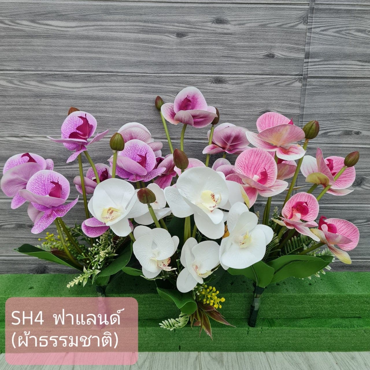 ฟาแลนด์ (SH4), ฟาแลนนอปซิส: ดอกเรียงตามก้านโค้งให้สมดุลแบบสถาปัตยกรรม