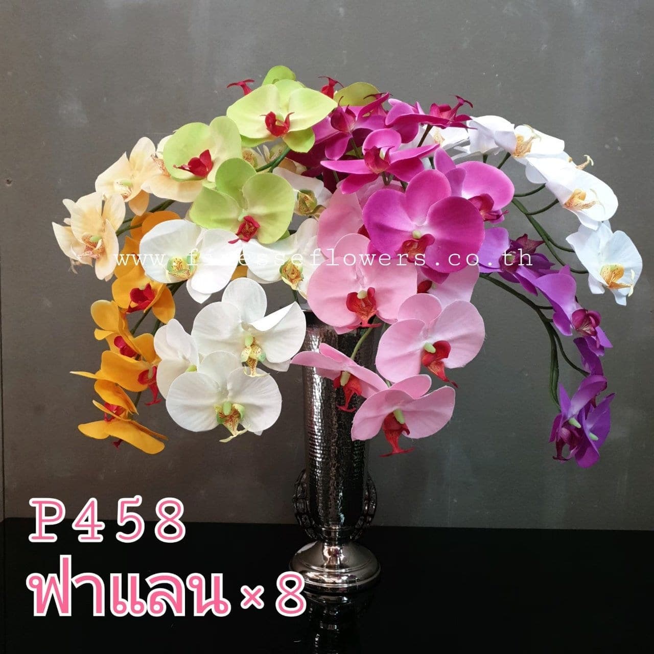 ฟาแลนด์ 8 ดอก P 458 (X274MSG), ฟาแลนนอปซิส: ก้านยาวพลิ้ว ดอกบานจังหวะคงที่ตลอดทั้งเส้น