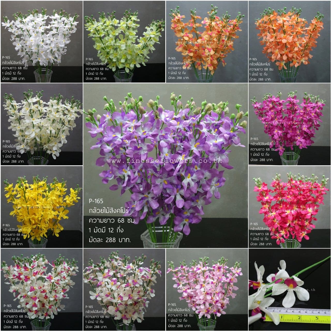 กล้วยไม้สิงคโปร์ P-165 (XPYJLND), กล้วยไม้: เส้นโค้งของช่อและกลีบบาง ให้องค์ประกอบลอยและสะอาด
