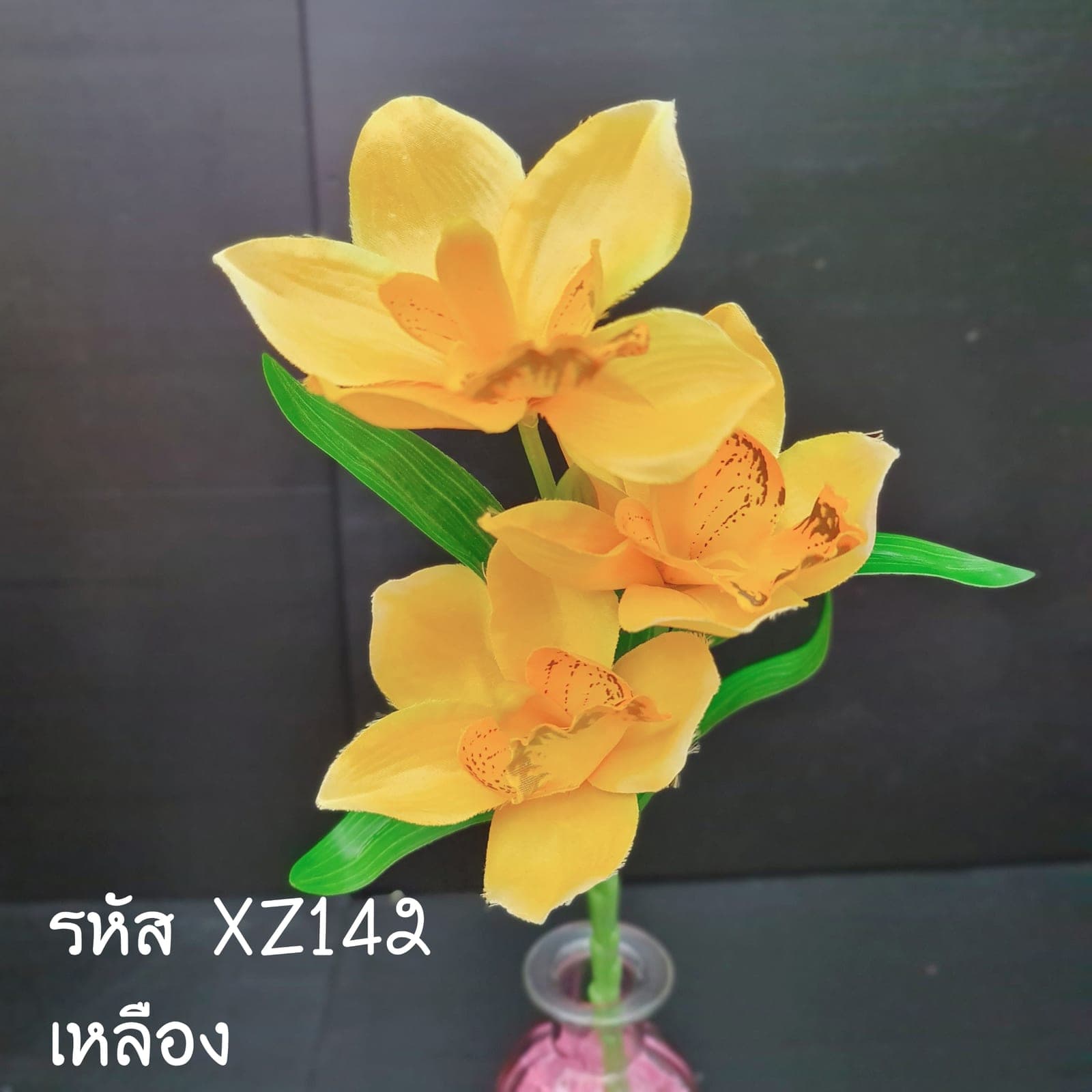 ซิมบิเดียม3ดอก (XZ14), กล้วยไม้ 3 ดอก: เส้นโค้งของช่อและกลีบบาง ให้องค์ประกอบลอยและสะอาด