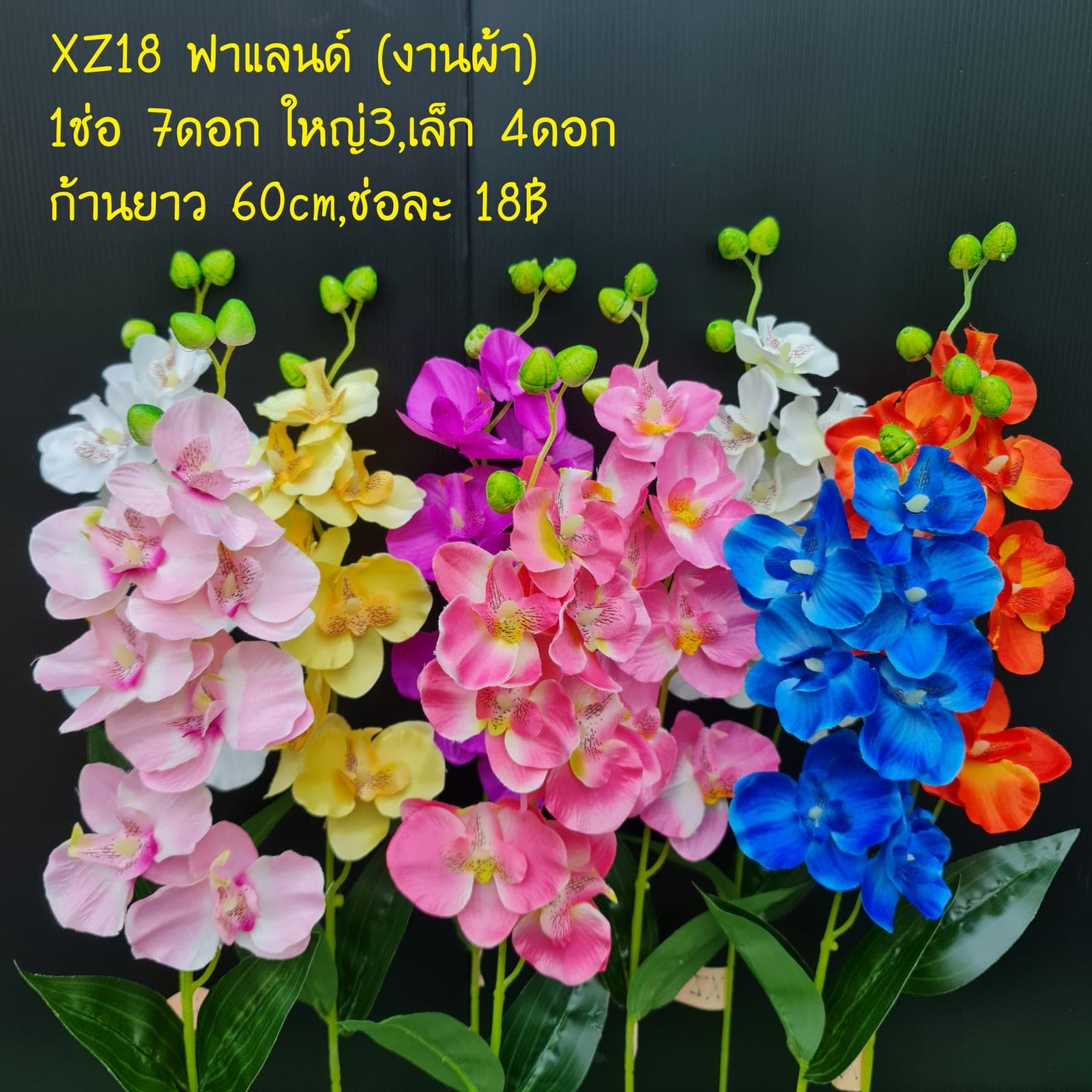 ฟาแลนด์ งานผ้า (XZ18), ฟาแลนนอปซิส: กลีบหนาคล้ายขี้ผึ้ง วางเส้นสายให้ลอยและสะอาด