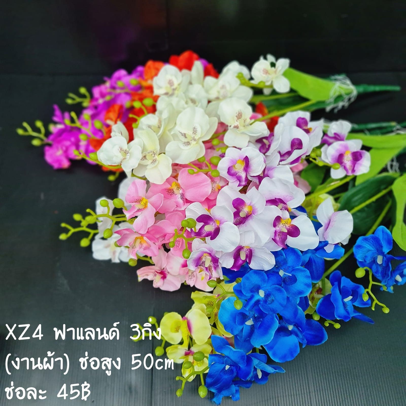 ฟาแลนด์3กิ่ง (XZ4), ฟาแลนนอปซิส 3 กิ่ง: ก้านยาวพลิ้ว ดอกบานจังหวะคงที่ตลอดทั้งเส้น